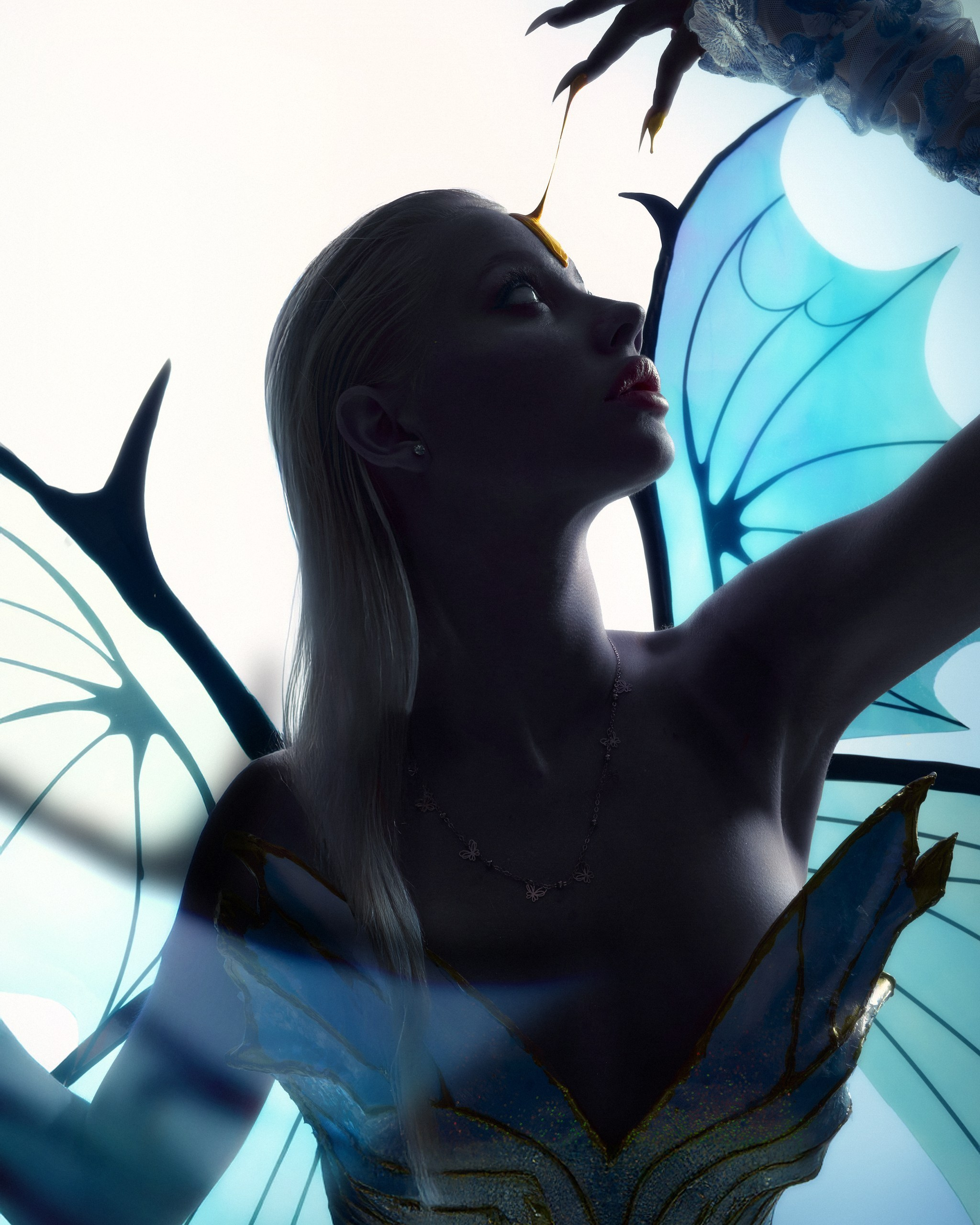 The frost fairy. ГЛАВНАЯ