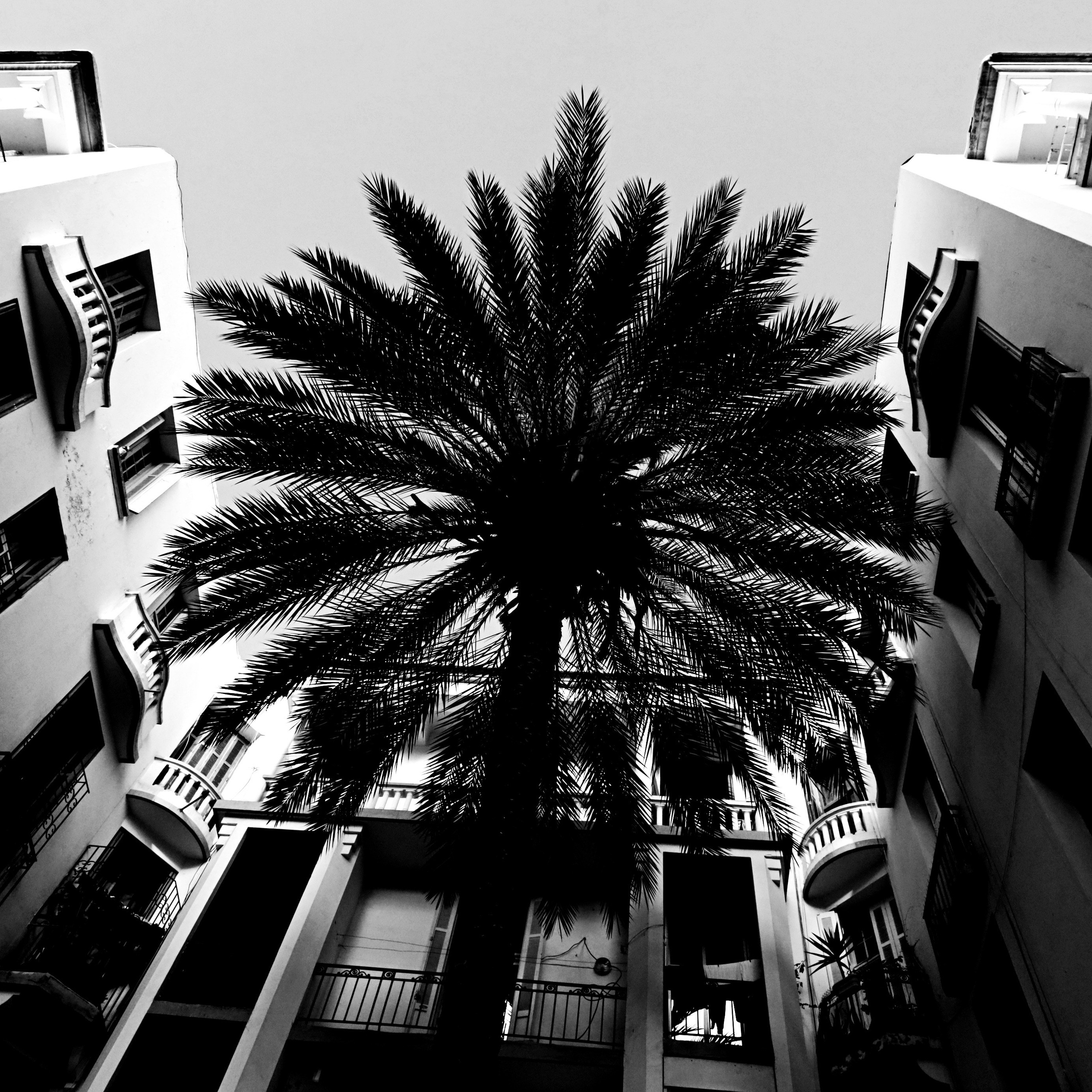 МАРОККО-ТУРЦИЯ /// 23.11-12.12.2025. СПБНЛО