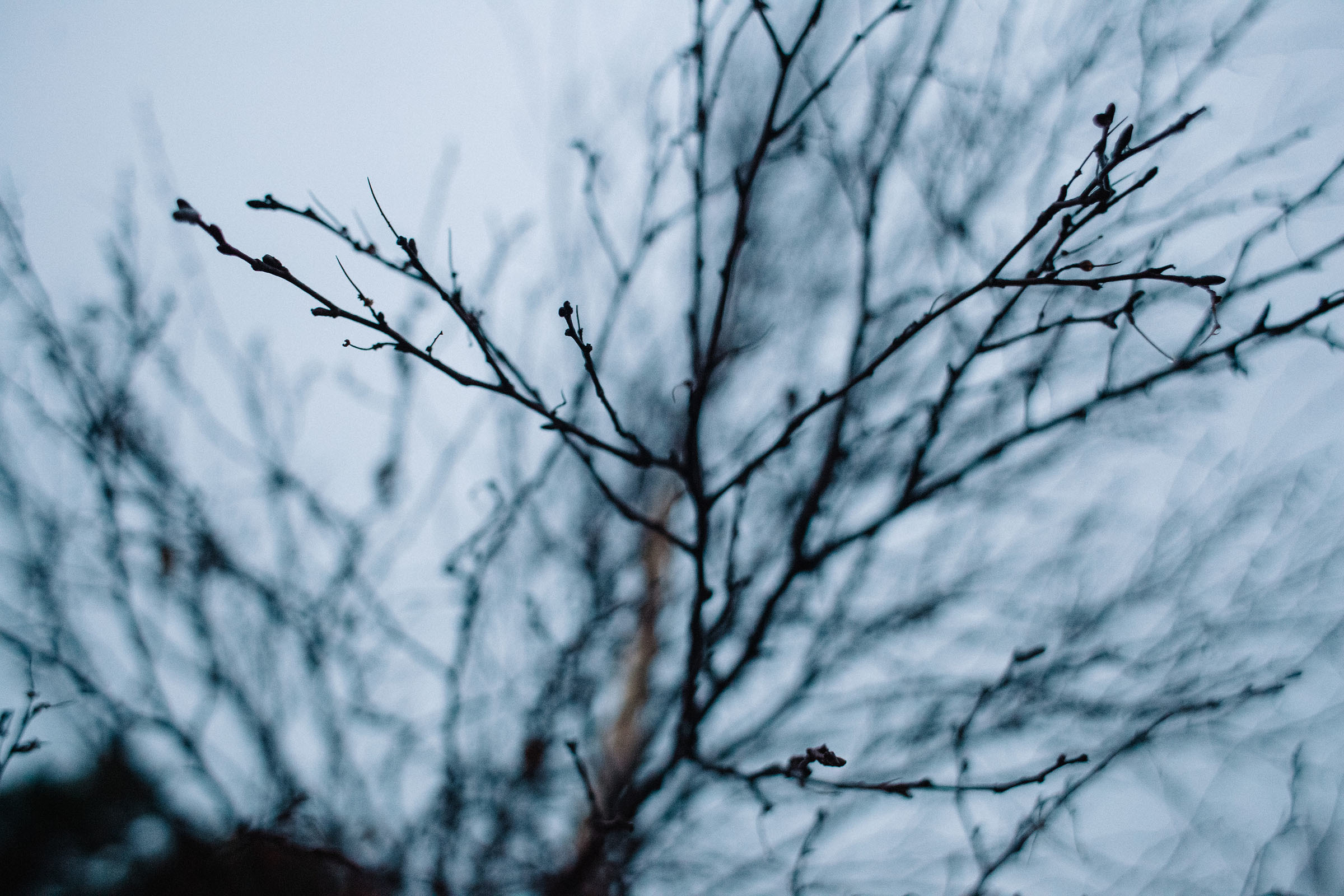 Приветнинское. Семейный и свадебный фотограф в Майкопе Михаил Мартиросян