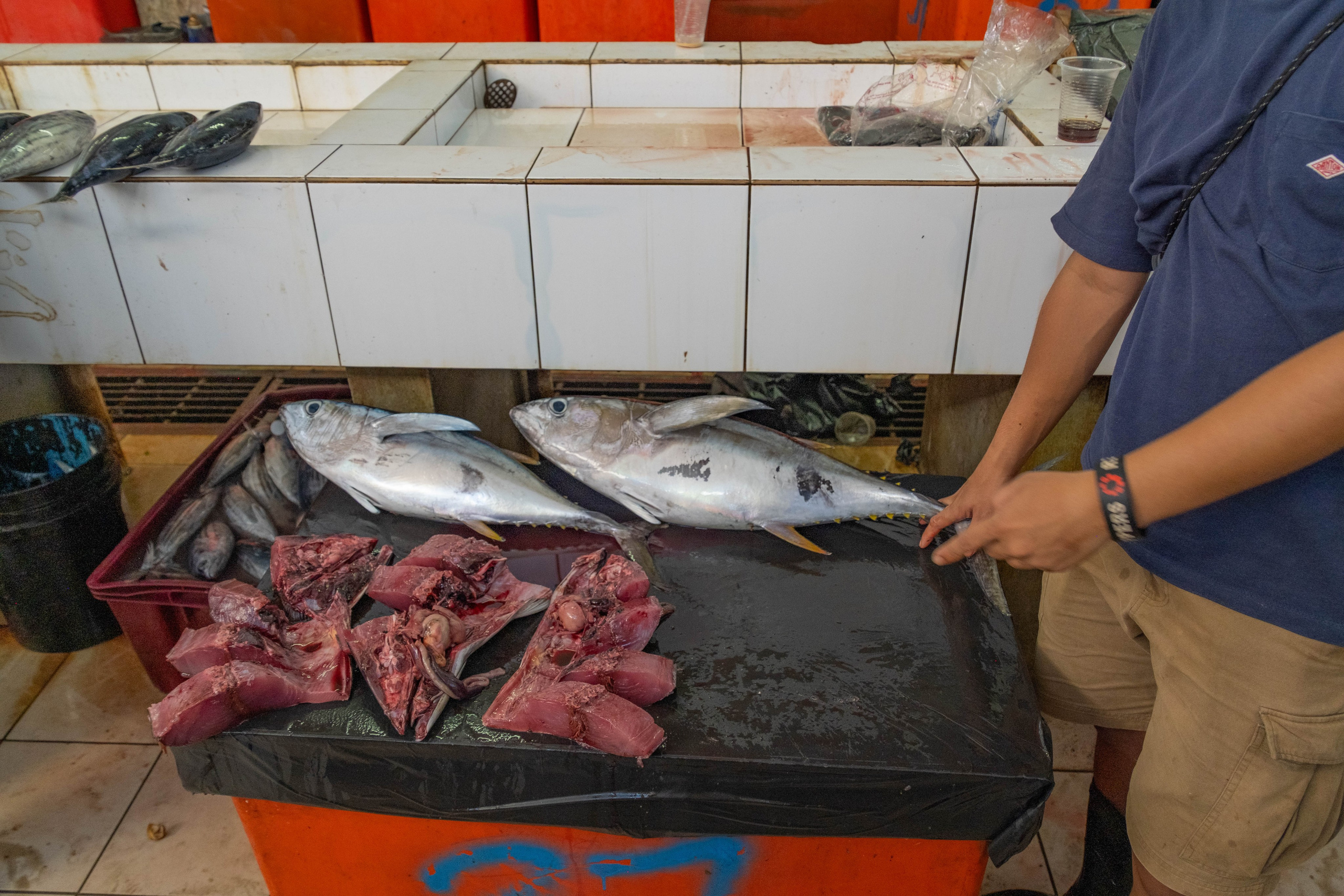 Остров Борнео, город Семпорна. Причал и рынок. Фотографии из путешествий