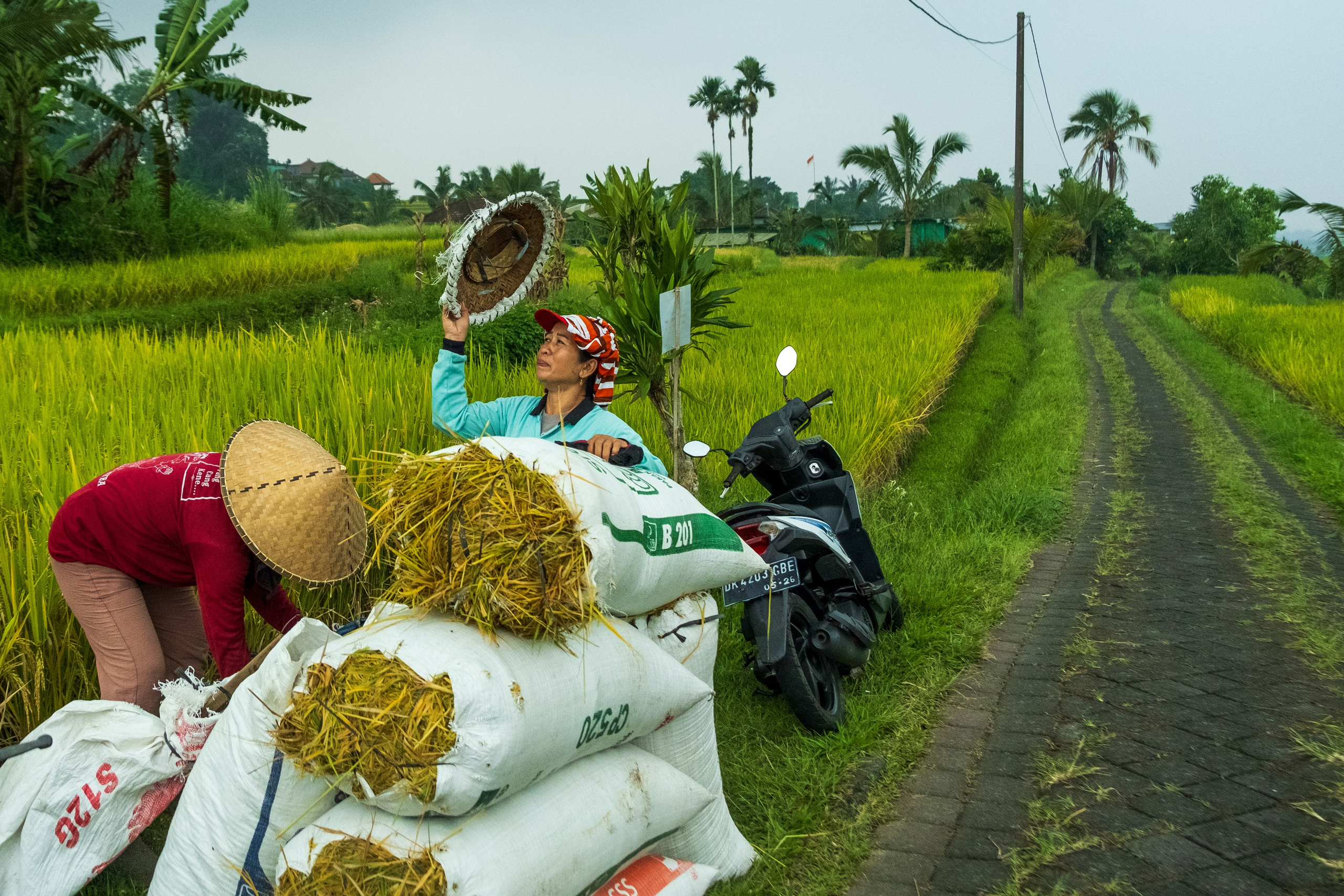 Остров Бали. Фотографии из путешествий