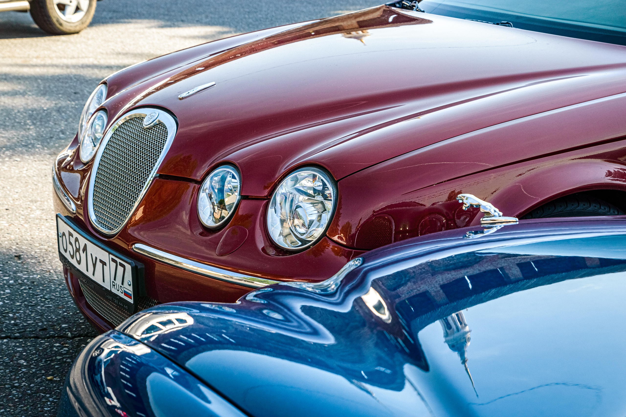 Английские черты. Портретный и предметный фотограф — Москва, Коломна, юго-восток Моск.обл