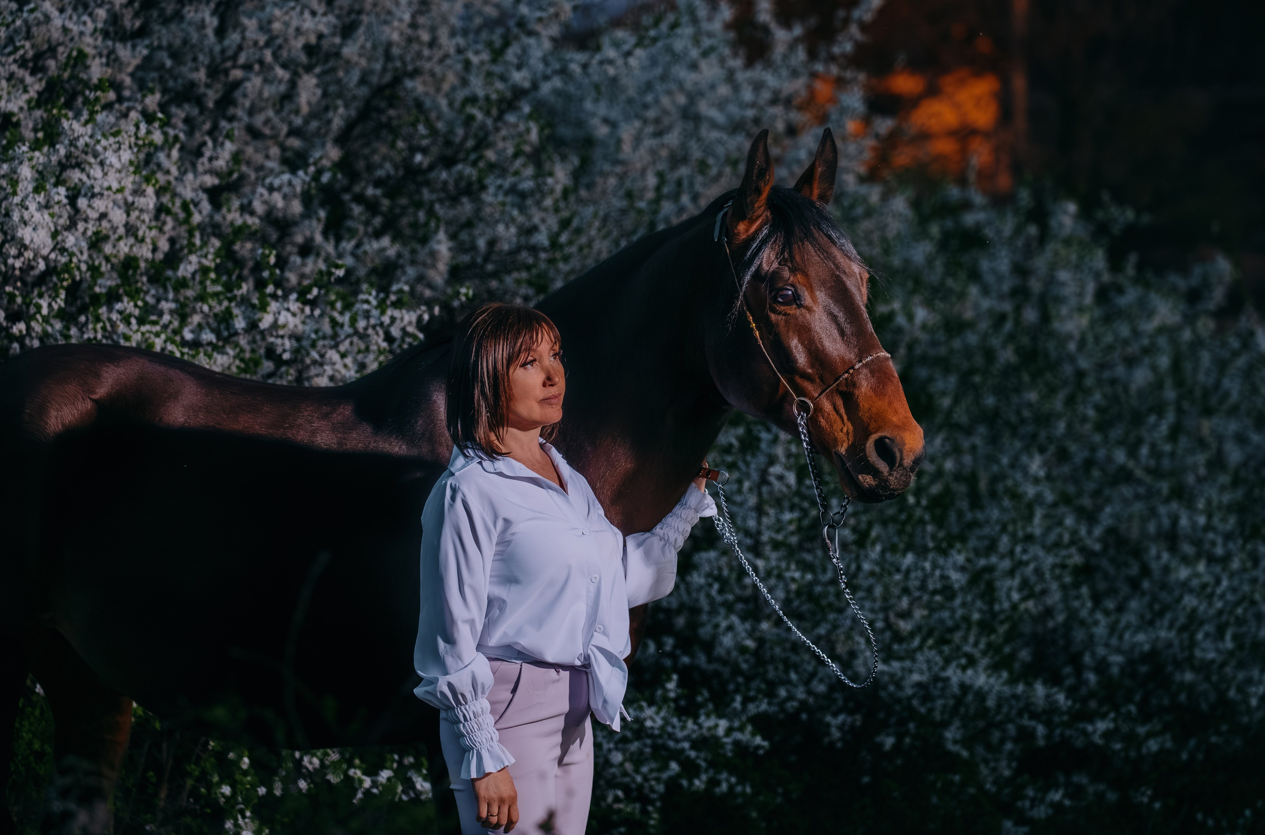 Лена и Сархан. Фотограф-анималист Ксендзова Кристина