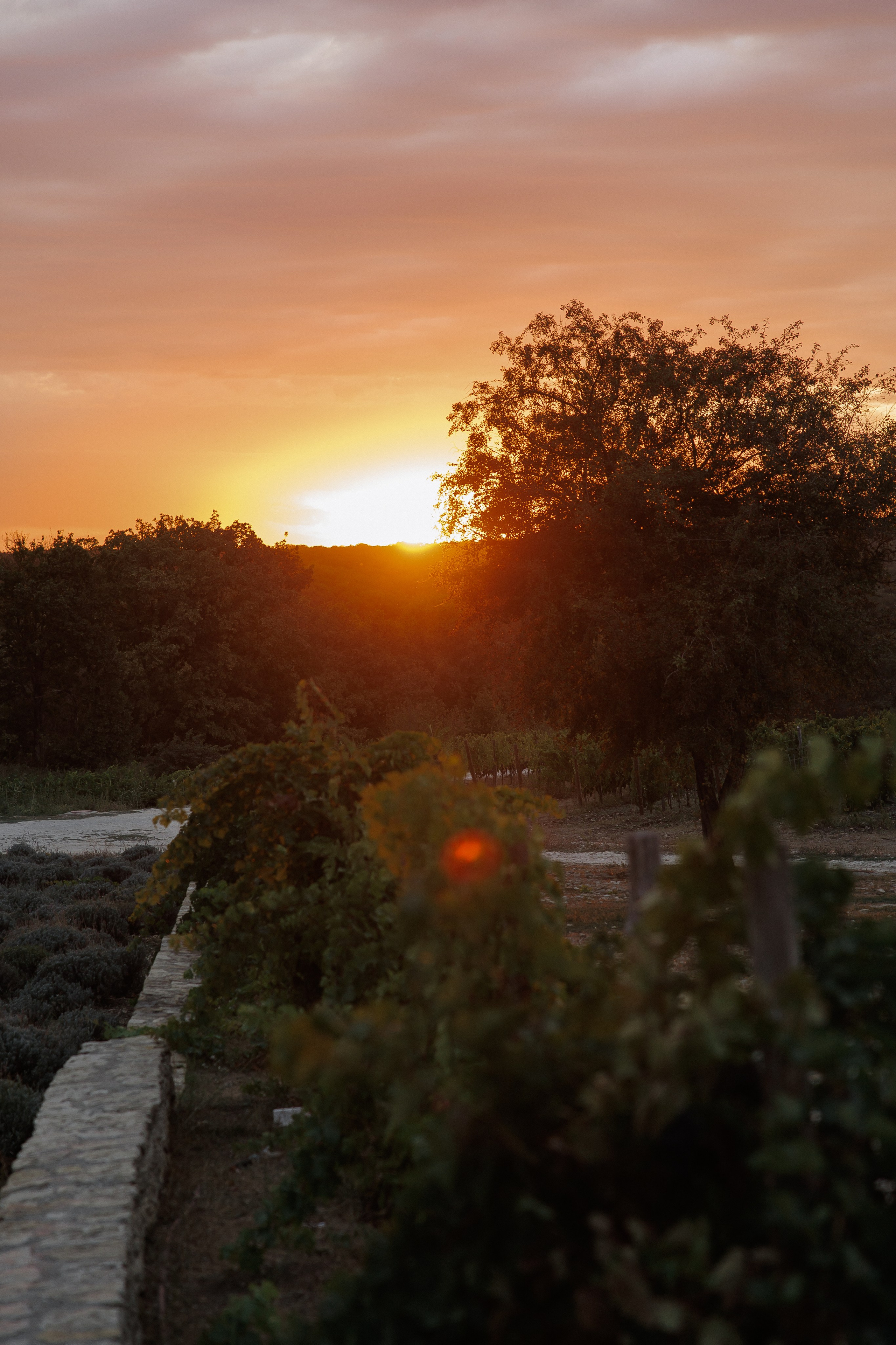Wedding N&V. Свадебный фотограф Краснодар Юлия Ткаченко