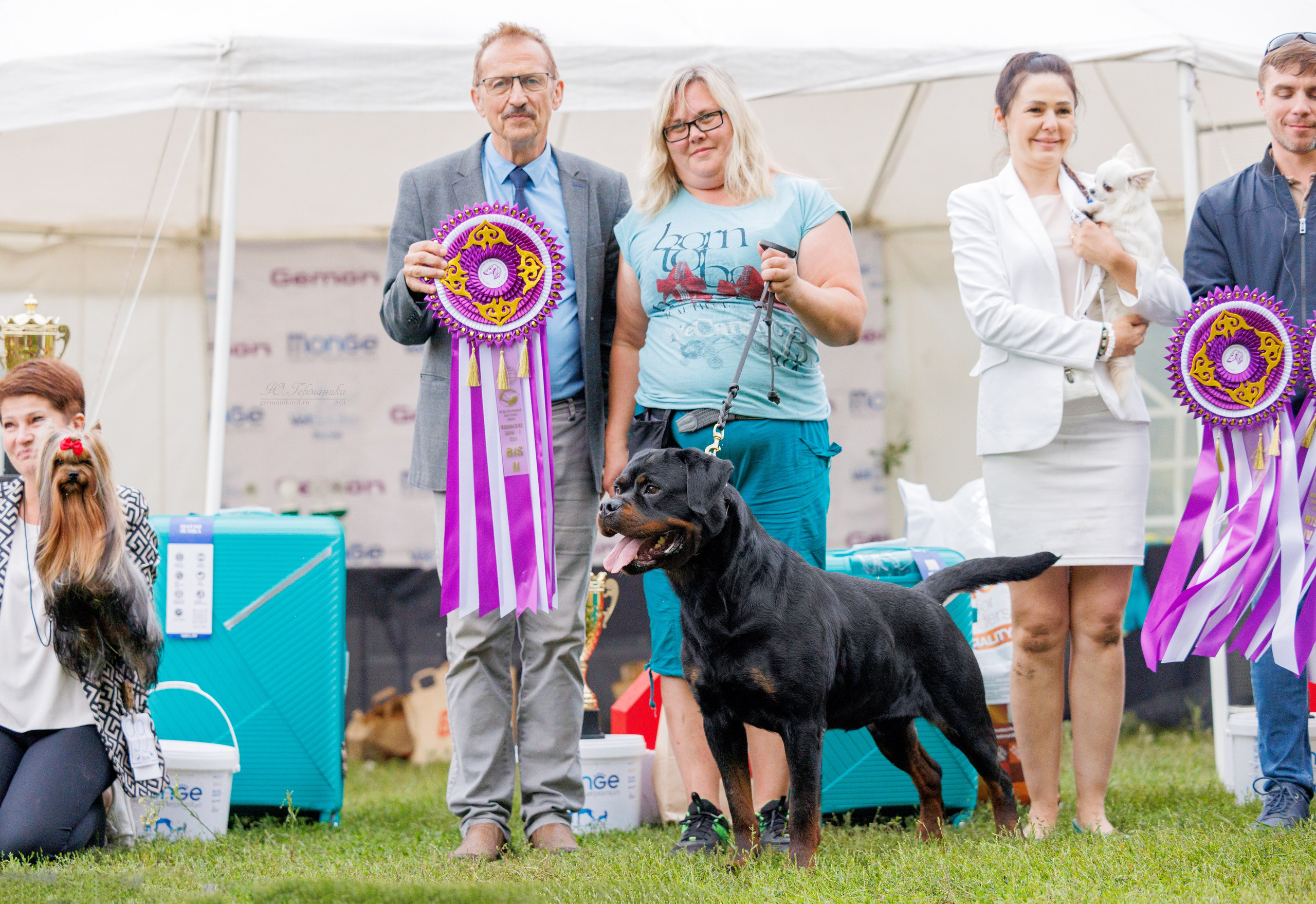 Астана 2хCACIB 17-18.08.2024. Фотограф-анималист Юлия Германика