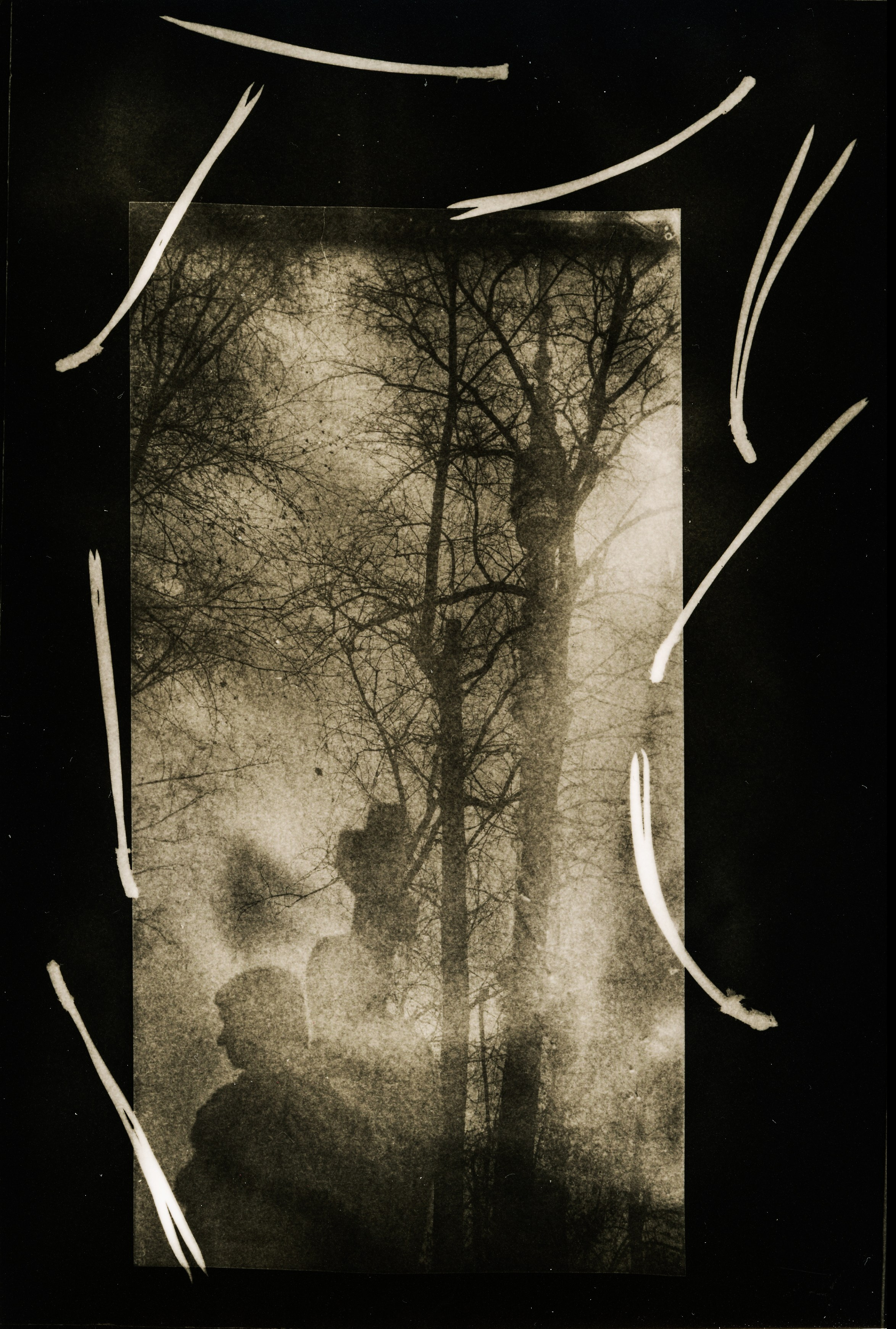 Lith prints. Darkroom aesthetics