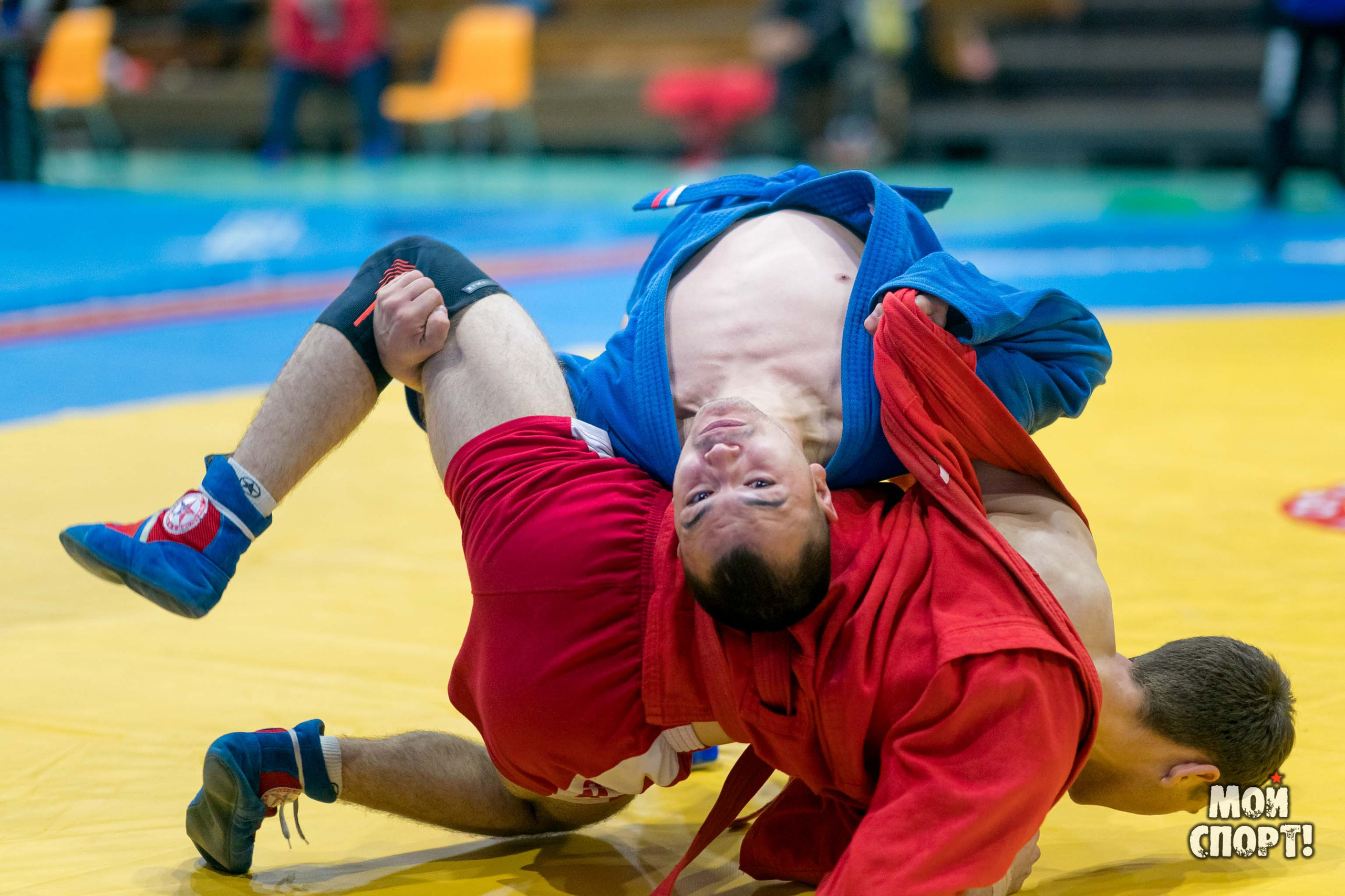 Всероссийские соревнования по самбо «Памяти Героя России А. А. Рыжикова». Студия «Мой Спорт!» — все о спорте в Якутии