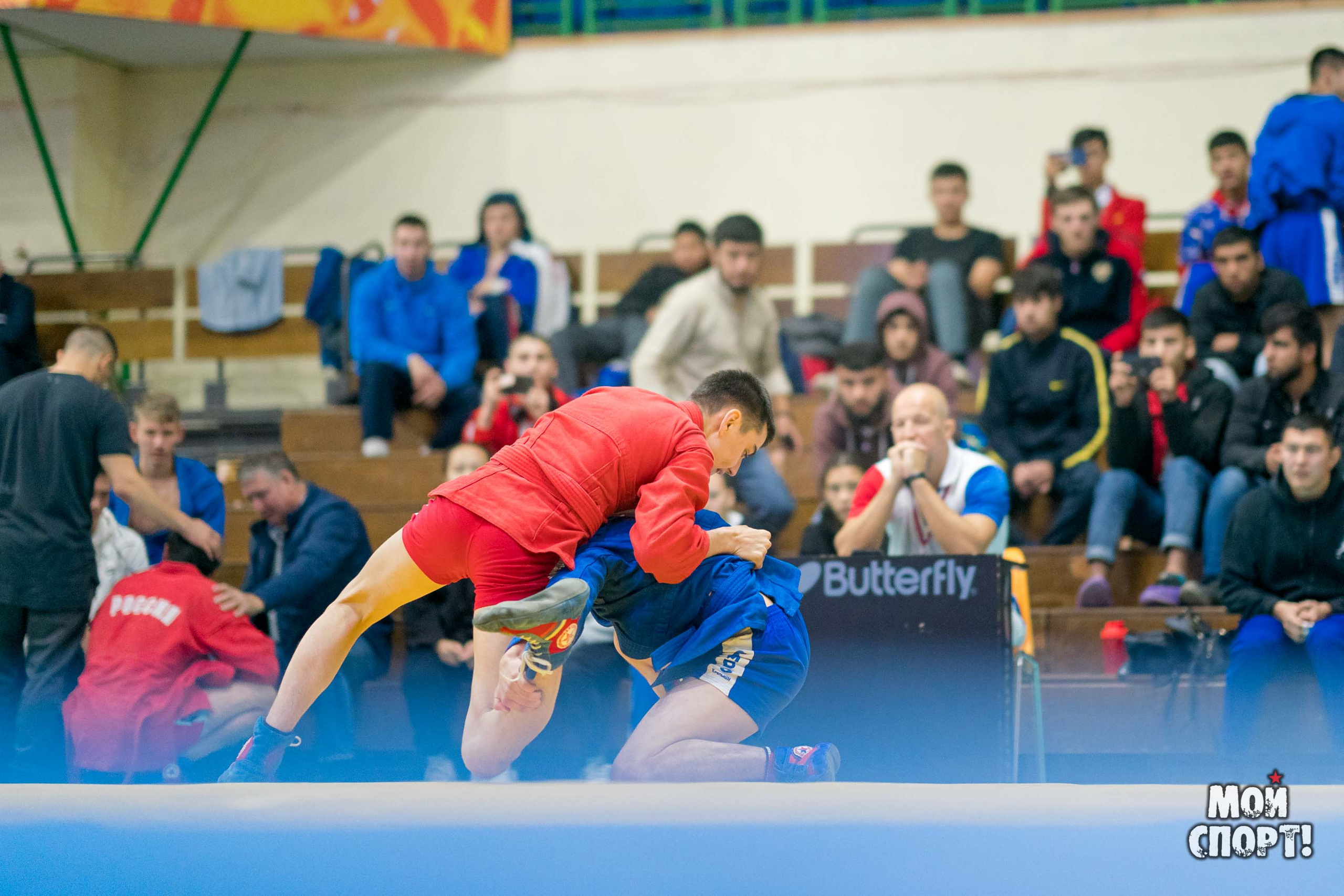 Всероссийские соревнования по самбо «Памяти Героя России А. А. Рыжикова». Студия «Мой Спорт!» — все о спорте в Якутии