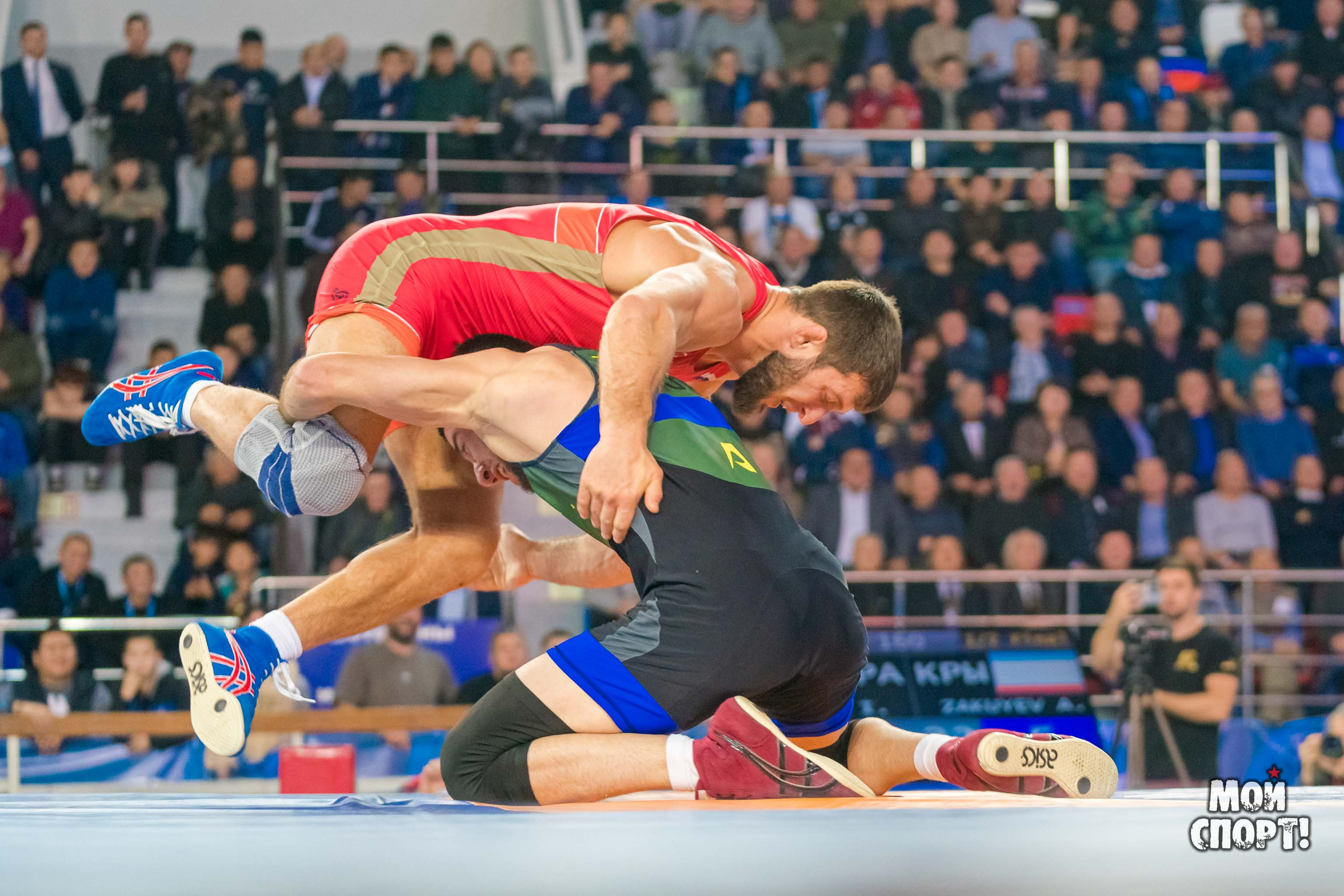Международный турнир по вольной борьбе памяти Д. П. Коркина. Студия «Мой Спорт!» — все о спорте в Якутии