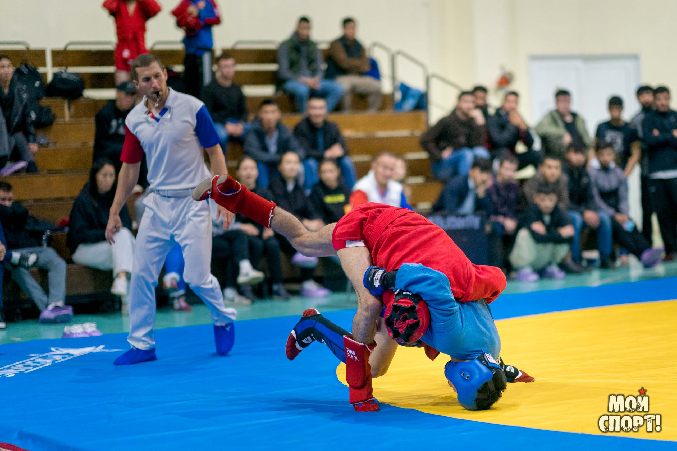 Всероссийские соревнования по самбо «Памяти Героя России А. А. Рыжикова». Студия «Мой Спорт!» — все о спорте в Якутии