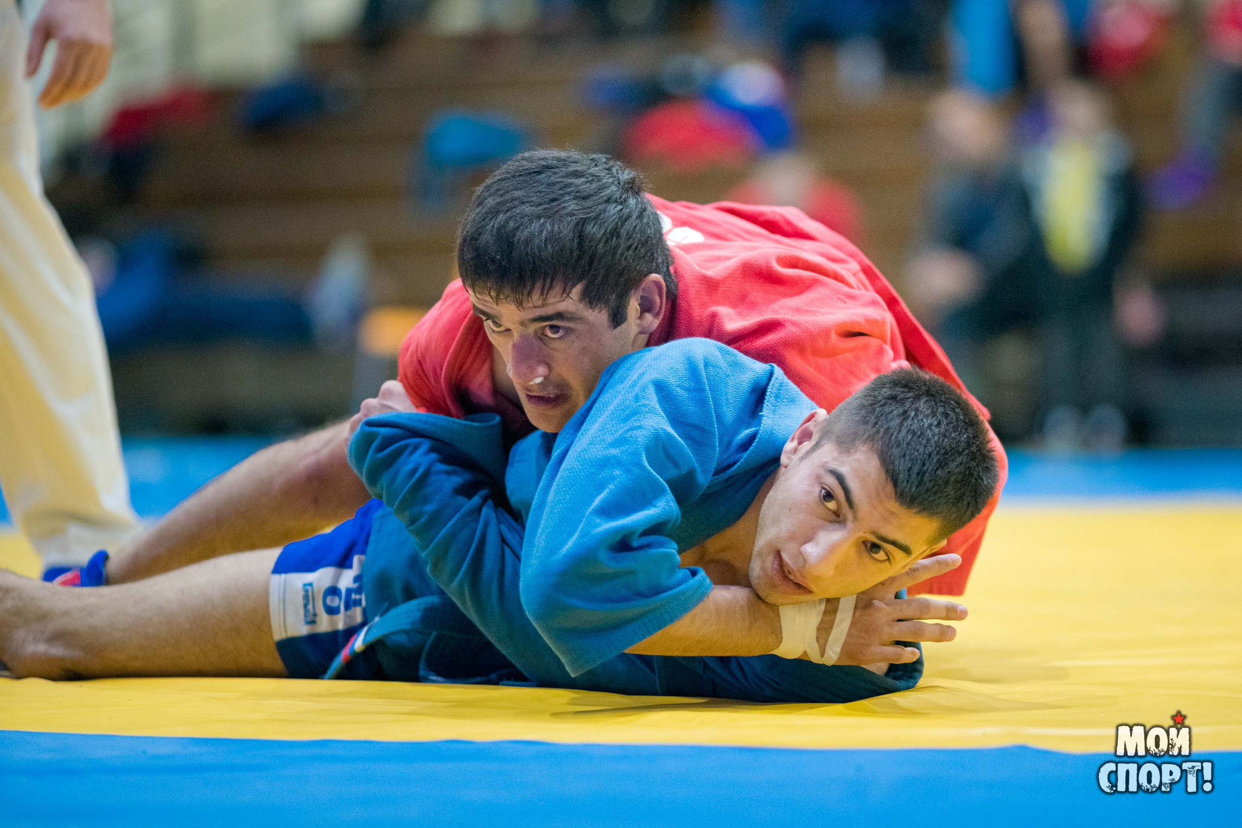 Всероссийские соревнования по самбо «Памяти Героя России А. А. Рыжикова». Студия «Мой Спорт!» — все о спорте в Якутии