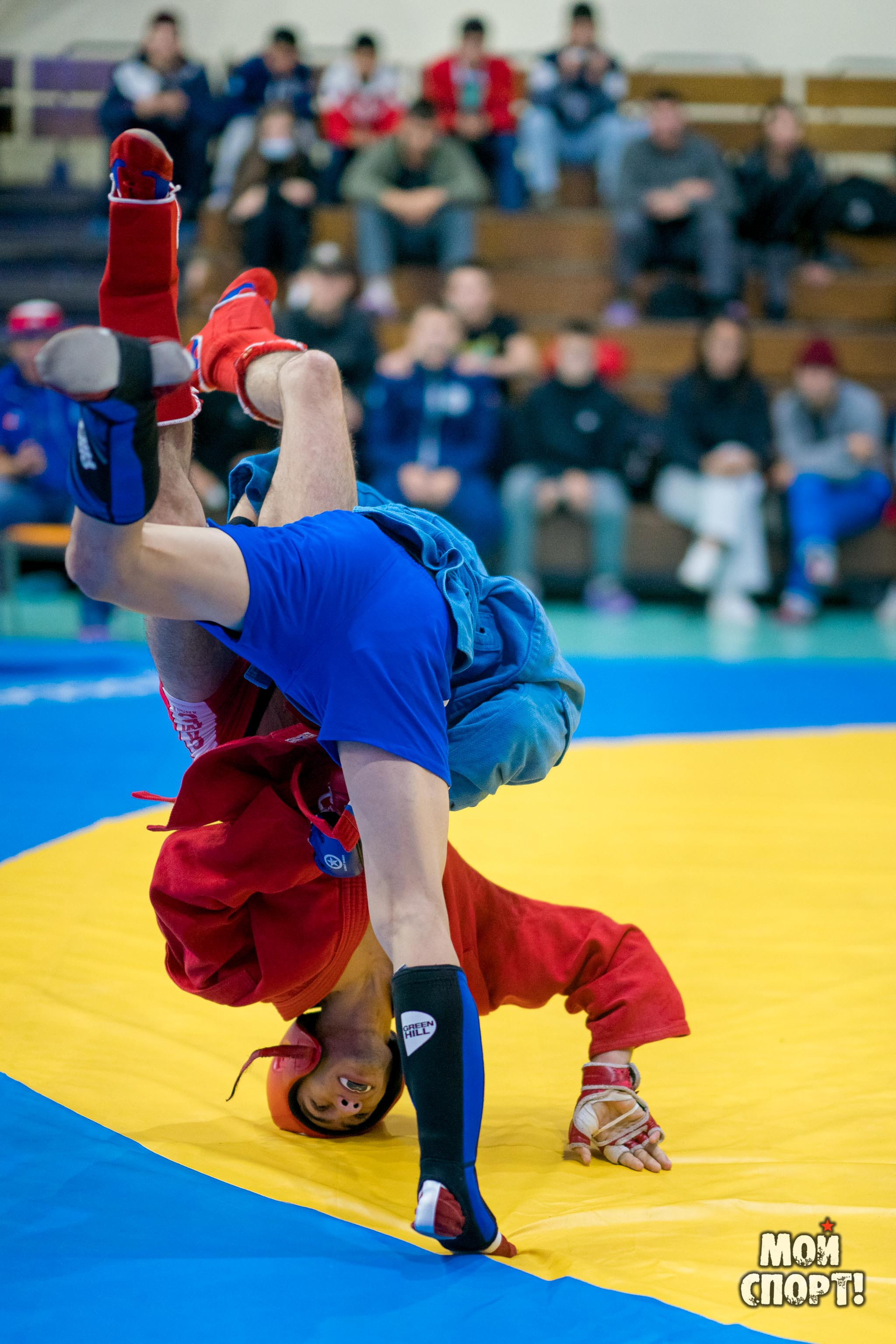 Всероссийские соревнования по самбо «Памяти Героя России А. А. Рыжикова». Студия «Мой Спорт!» — все о спорте в Якутии