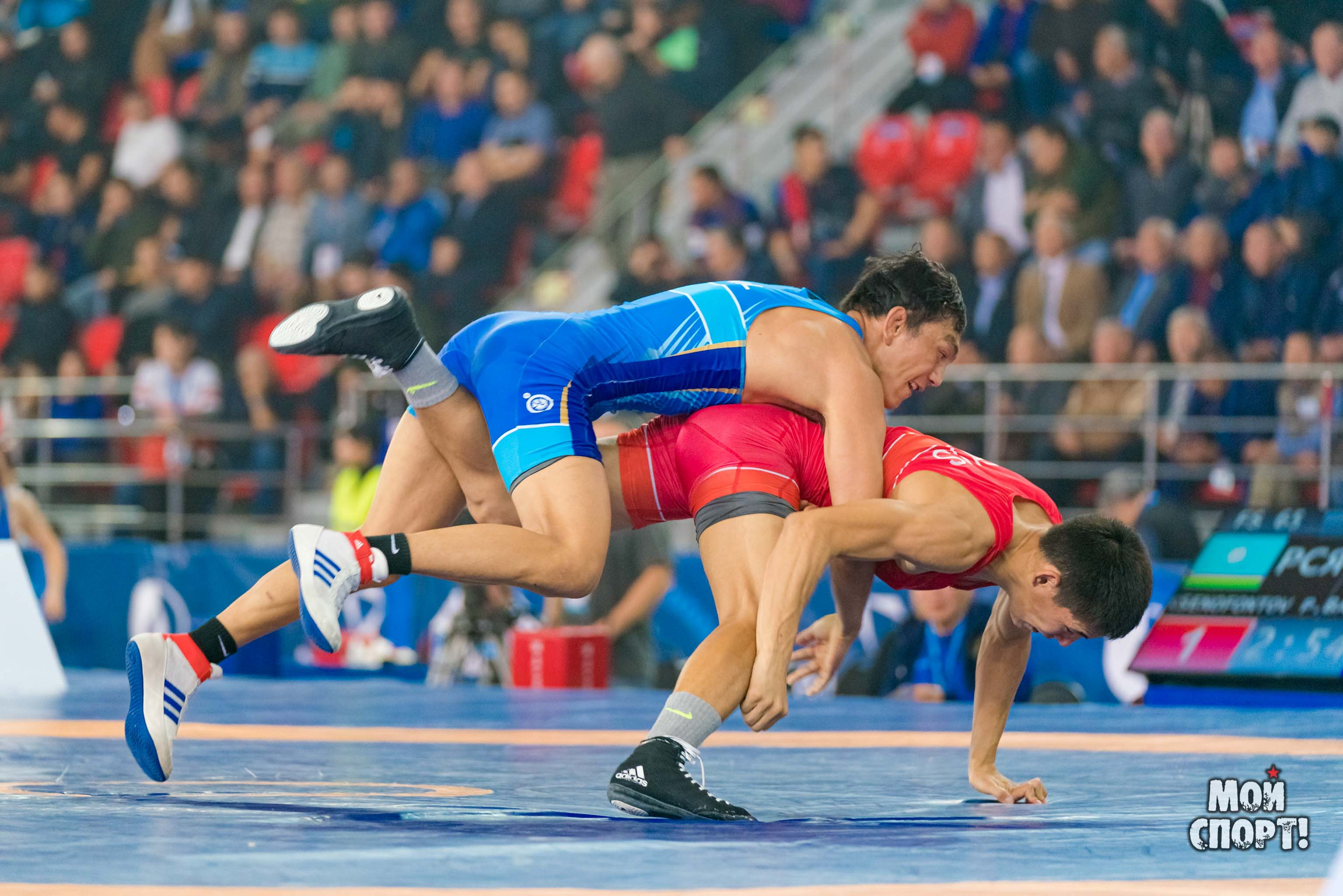 Международный турнир по вольной борьбе памяти Д. П. Коркина. Студия «Мой Спорт!» — все о спорте в Якутии