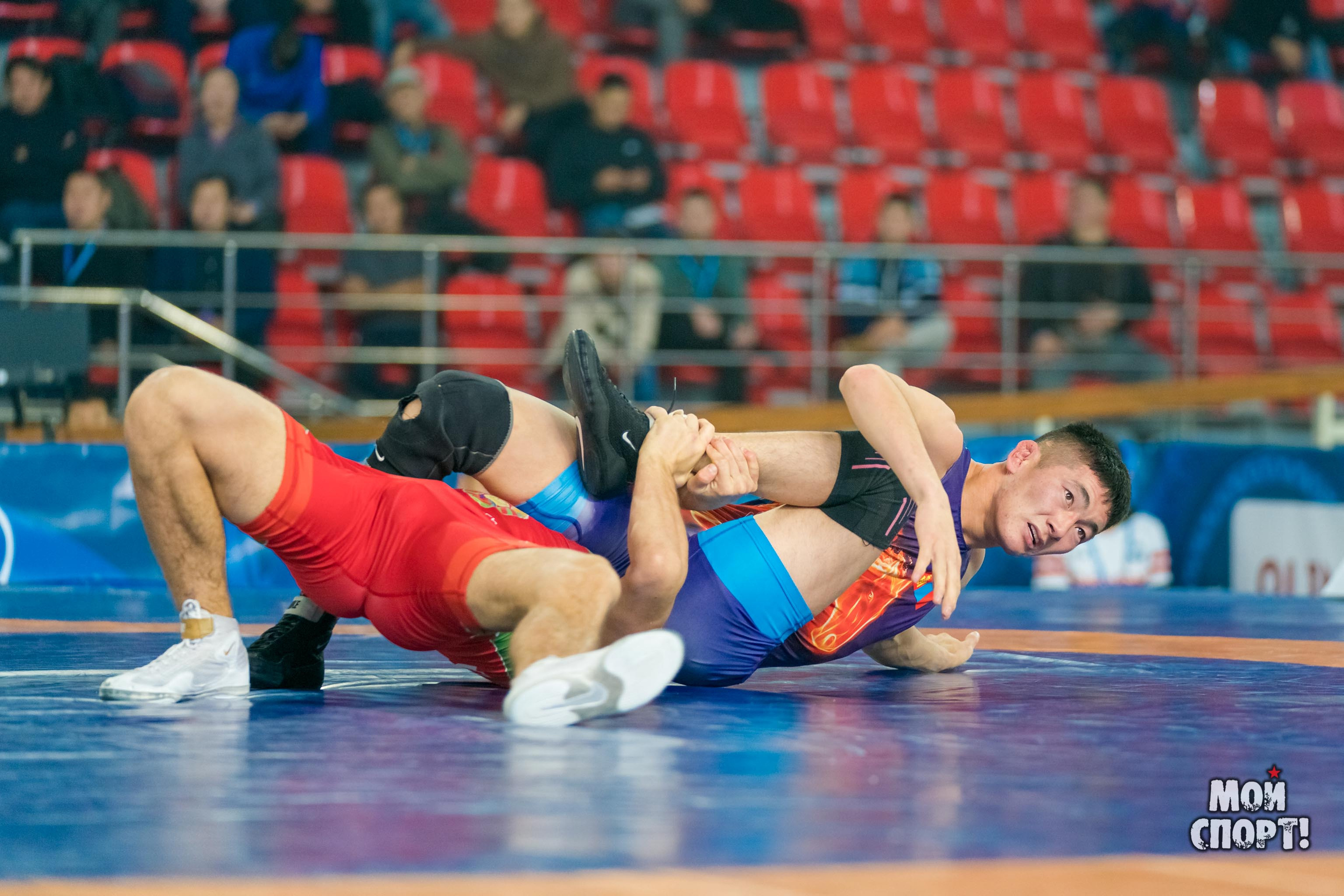 Международный турнир по вольной борьбе памяти Д. П. Коркина. Студия «Мой Спорт!» — все о спорте в Якутии