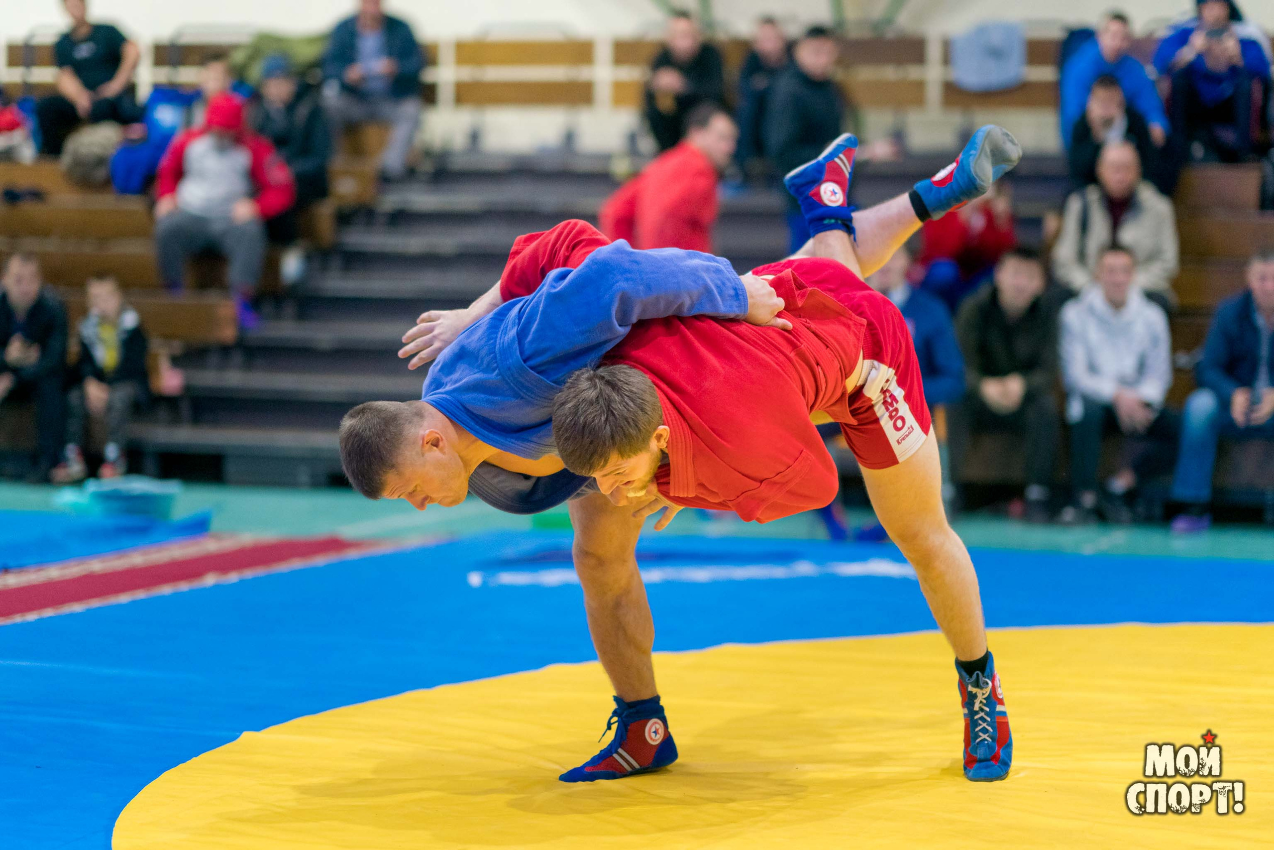 Всероссийские соревнования по самбо «Памяти Героя России А. А. Рыжикова». Студия «Мой Спорт!» — все о спорте в Якутии