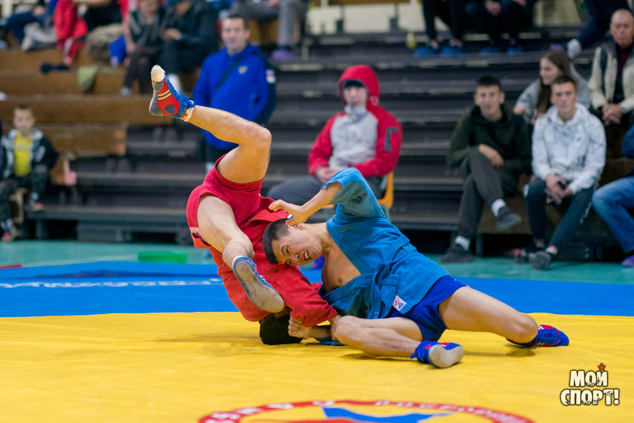 Всероссийские соревнования по самбо «Памяти Героя России А. А. Рыжикова». Студия «Мой Спорт!» — все о спорте в Якутии