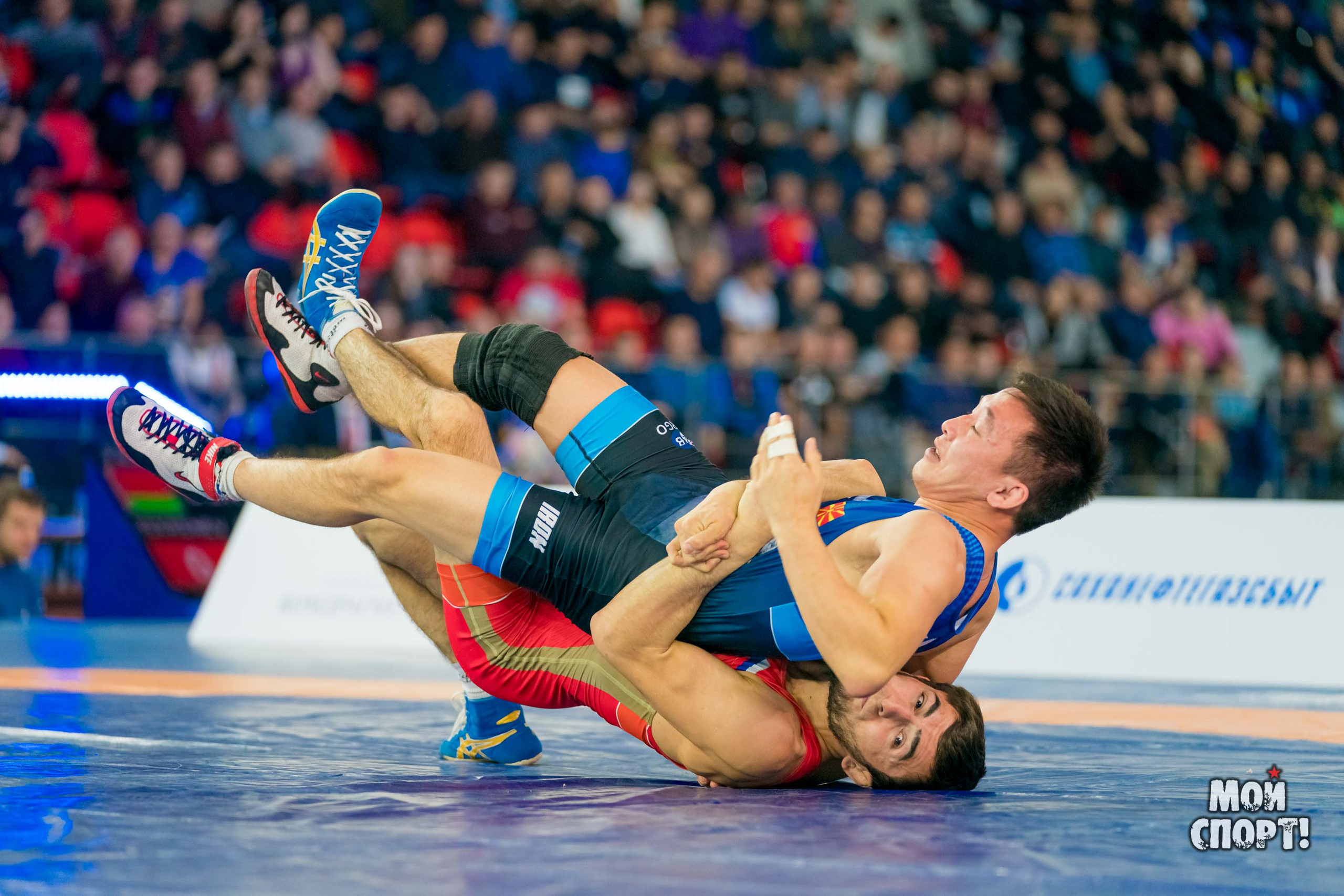 Международный турнир по вольной борьбе памяти Д. П. Коркина. Студия «Мой Спорт!» — все о спорте в Якутии