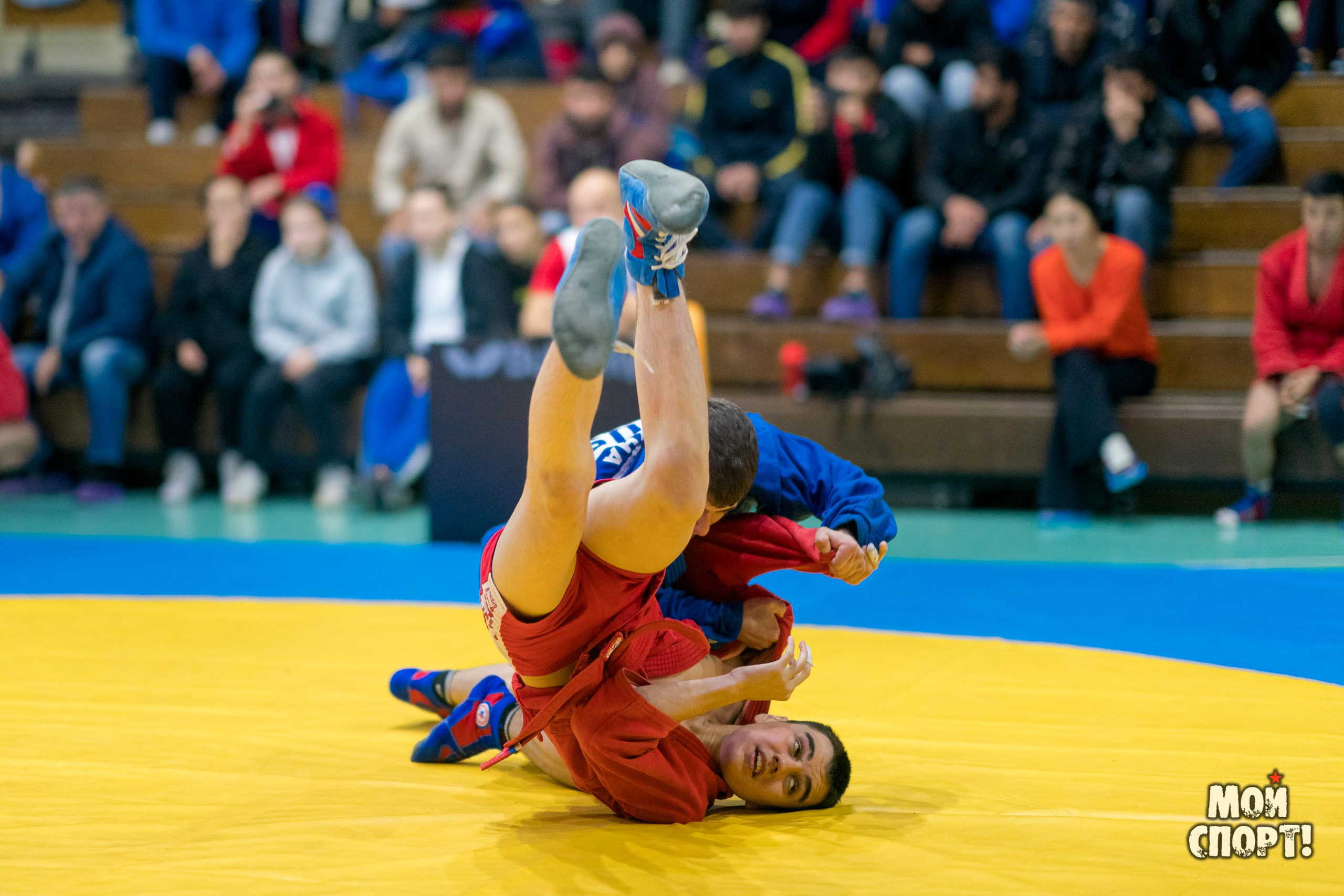 Всероссийские соревнования по самбо «Памяти Героя России А. А. Рыжикова». Студия «Мой Спорт!» — все о спорте в Якутии