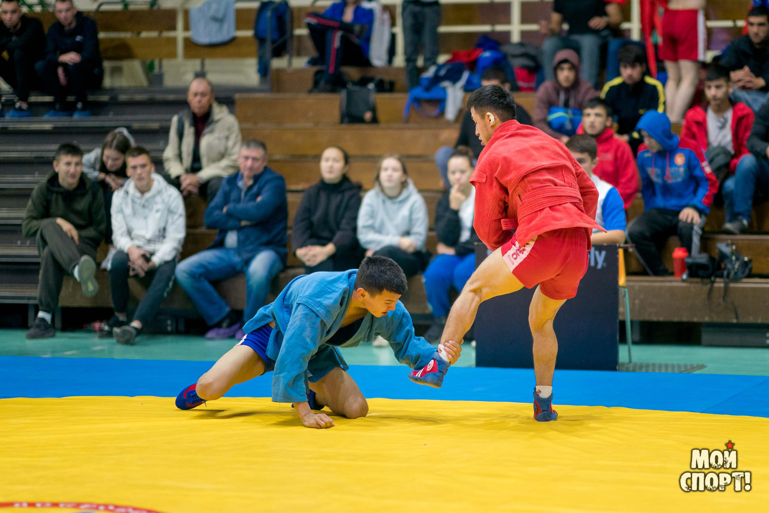 Всероссийские соревнования по самбо «Памяти Героя России А. А. Рыжикова». Студия «Мой Спорт!» — все о спорте в Якутии
