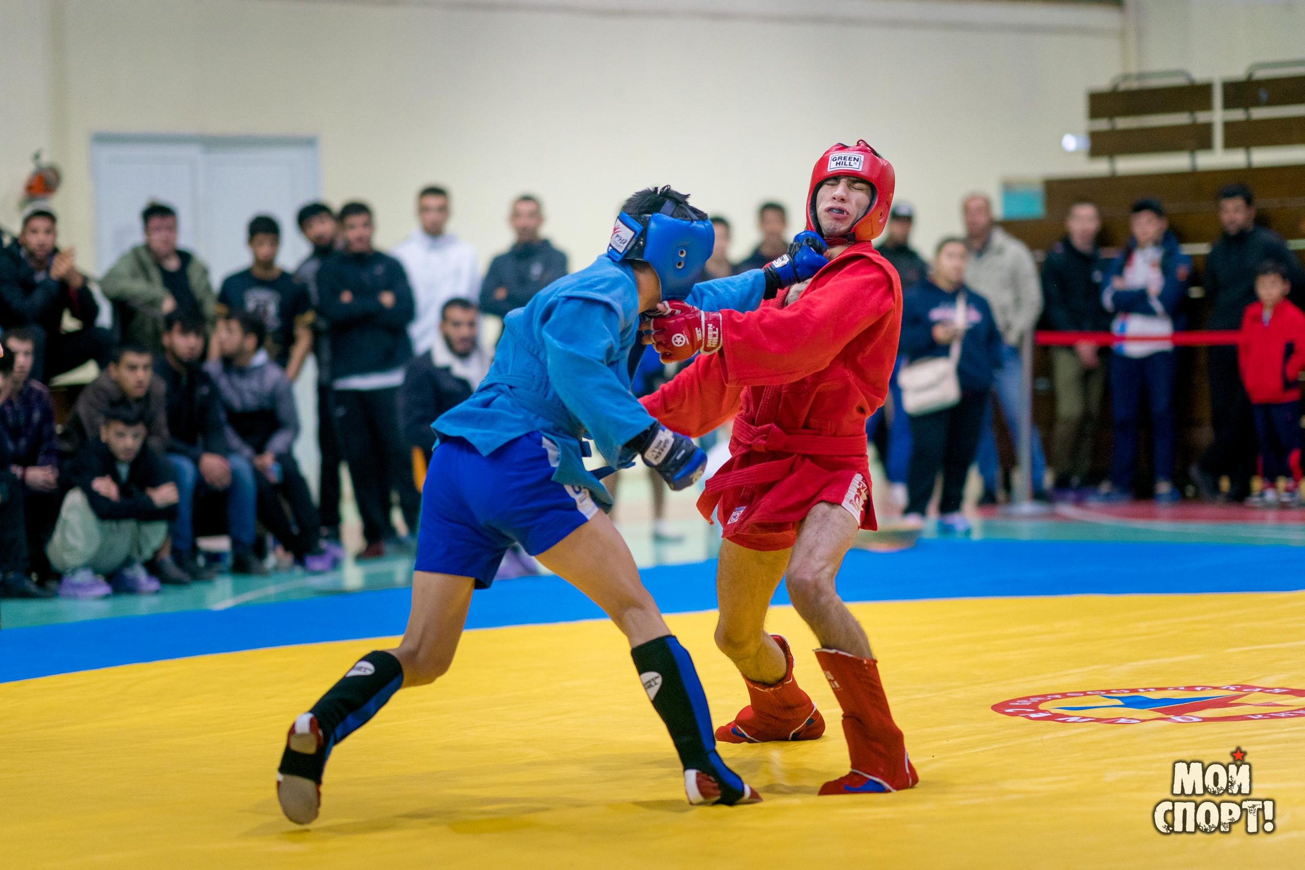 Всероссийские соревнования по самбо «Памяти Героя России А. А. Рыжикова». Студия «Мой Спорт!» — все о спорте в Якутии