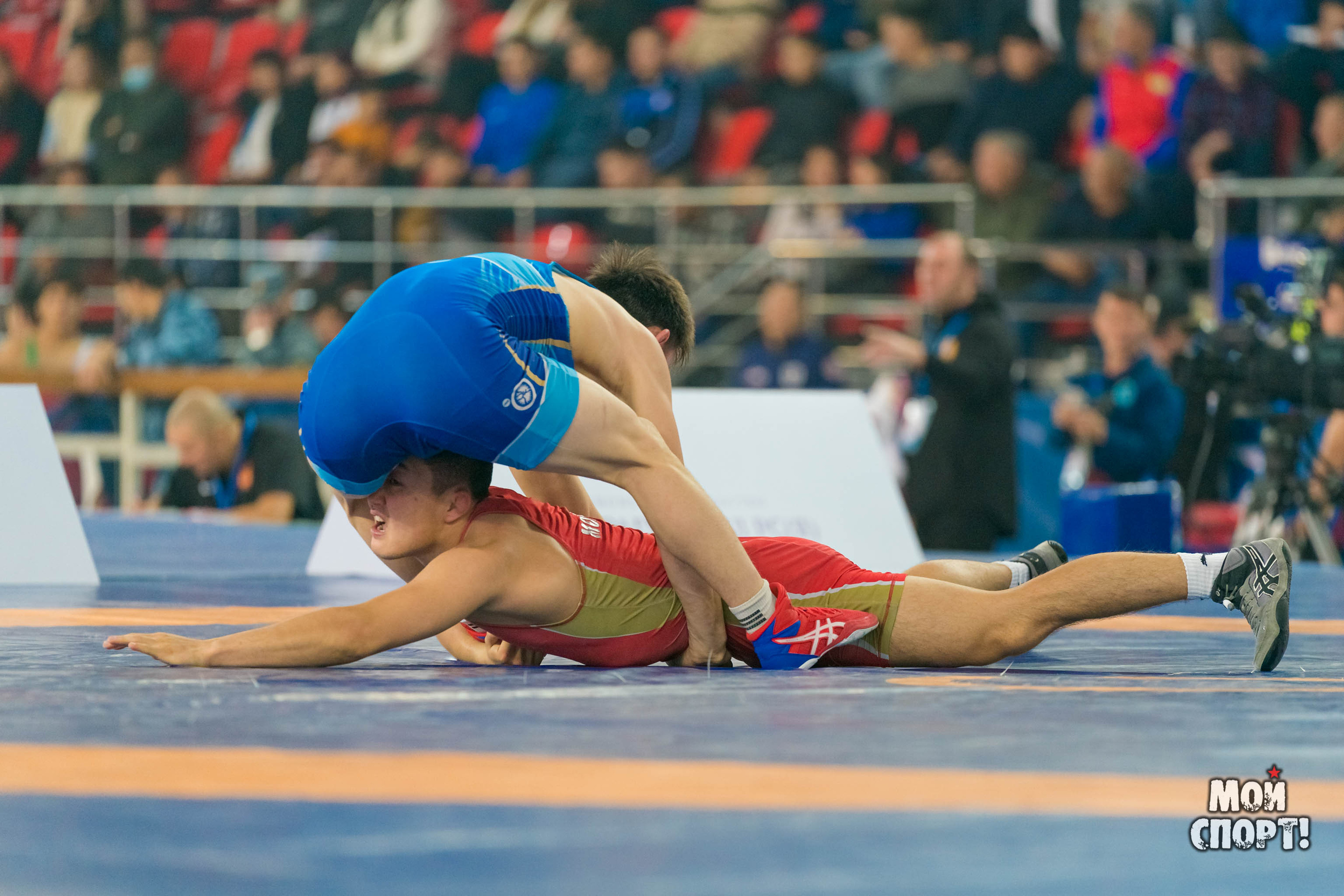 Международный турнир по вольной борьбе памяти Д. П. Коркина. Студия «Мой Спорт!» — все о спорте в Якутии