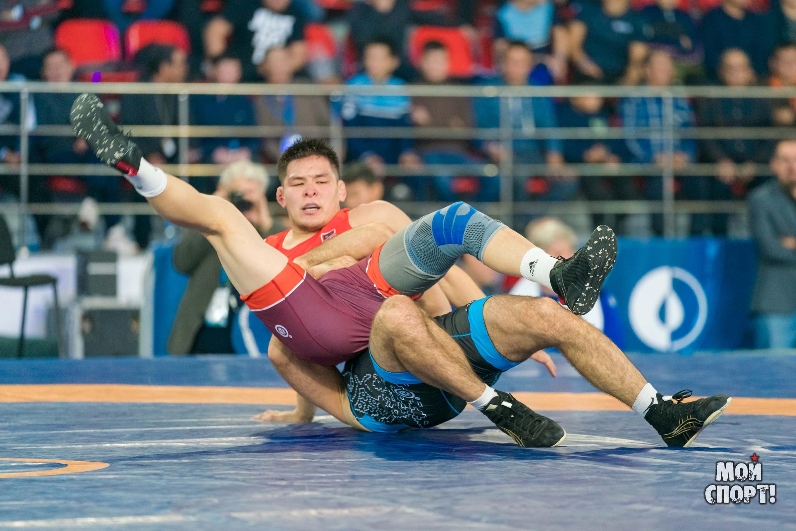 Международный турнир по вольной борьбе памяти Д. П. Коркина. Студия «Мой Спорт!» — все о спорте в Якутии