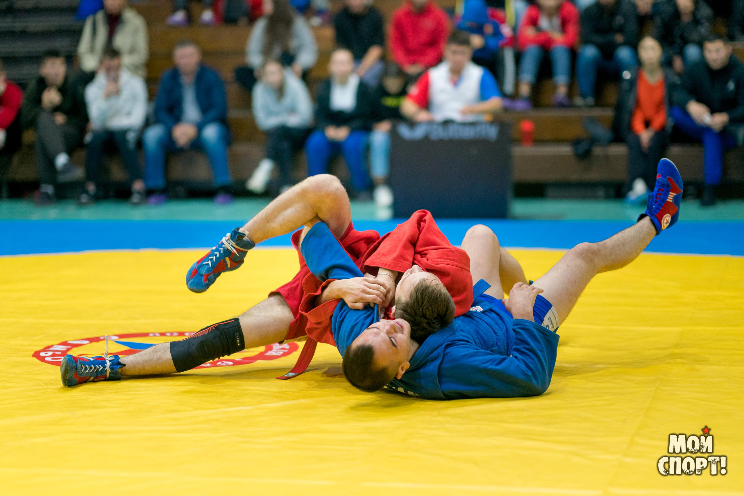 Всероссийские соревнования по самбо «Памяти Героя России А. А. Рыжикова». Студия «Мой Спорт!» — все о спорте в Якутии