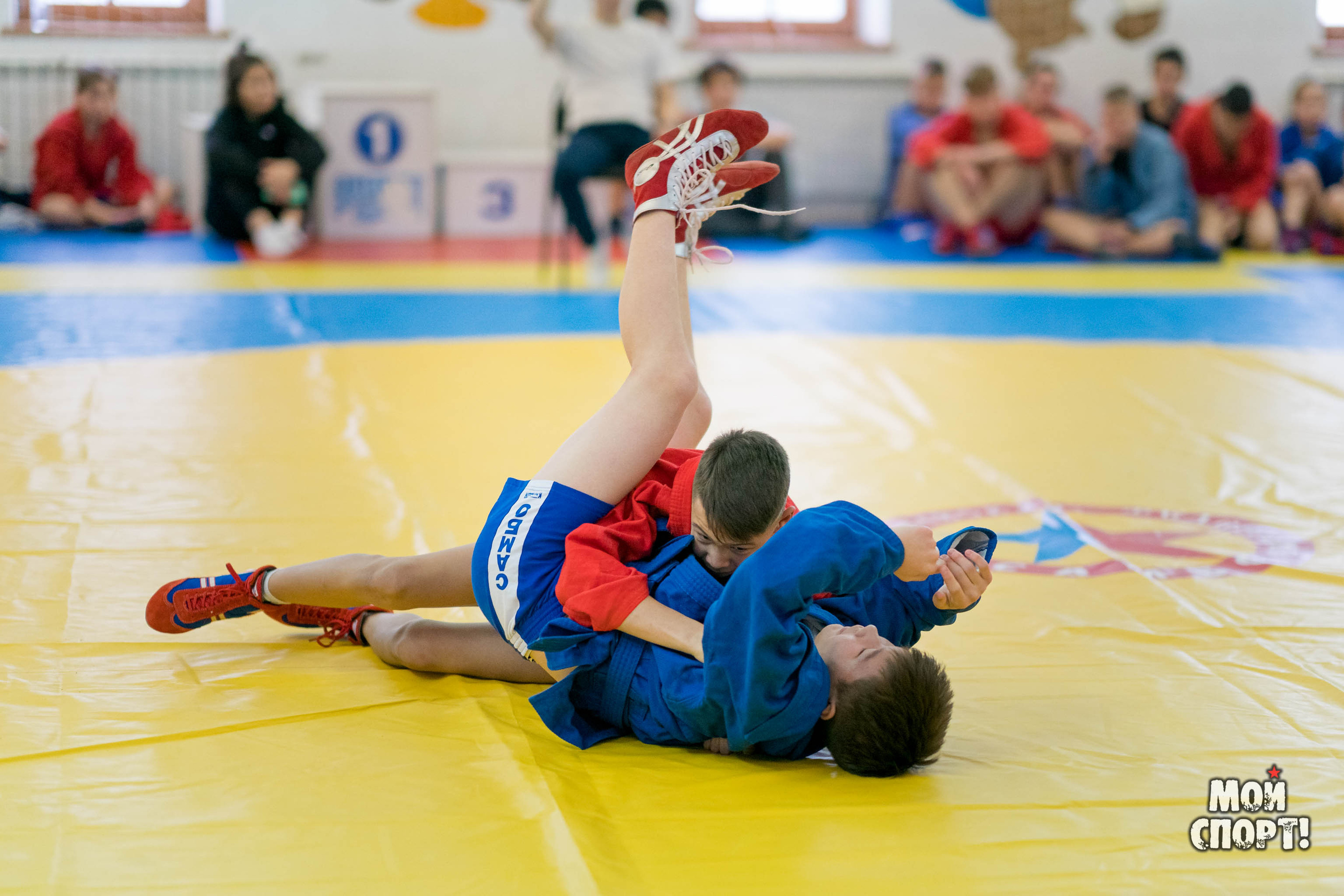 Всероссийский день самбо. Студия «Мой Спорт!» — все о спорте в Якутии