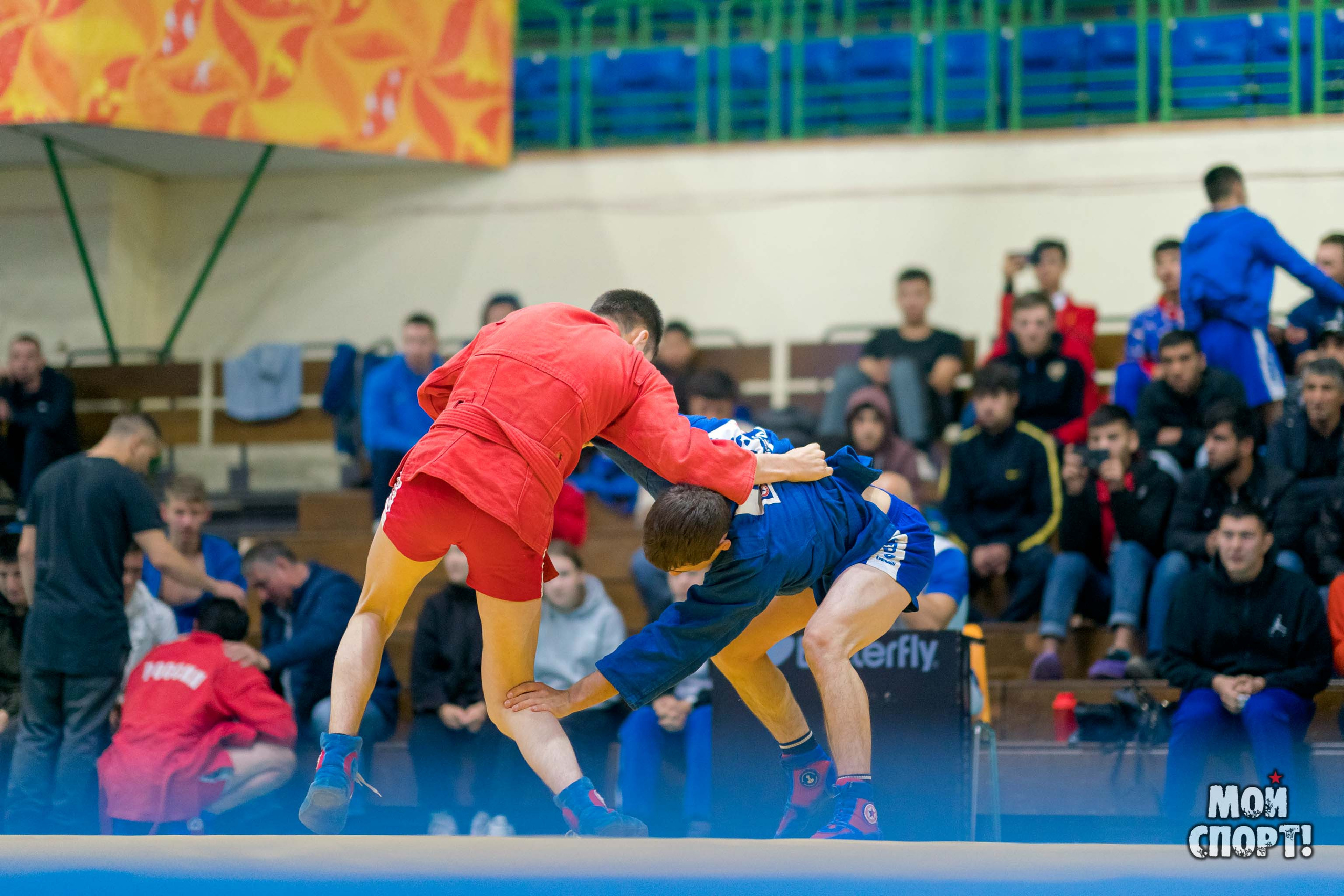 Всероссийские соревнования по самбо «Памяти Героя России А. А. Рыжикова». Студия «Мой Спорт!» — все о спорте в Якутии