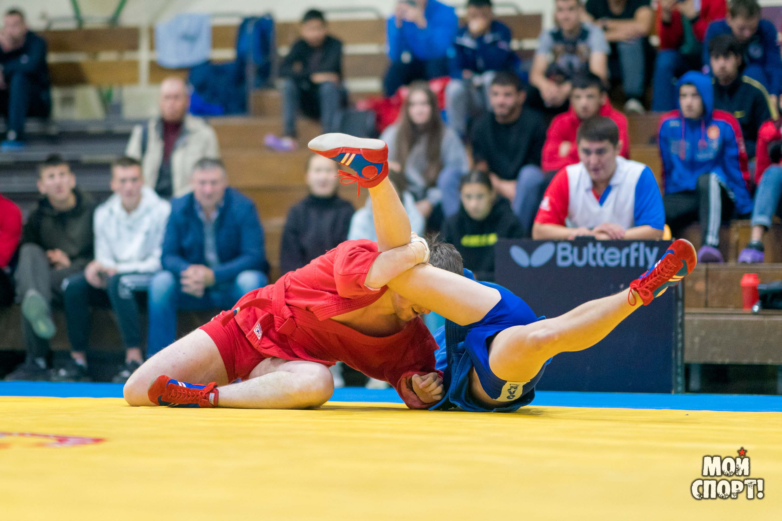 Всероссийские соревнования по самбо «Памяти Героя России А. А. Рыжикова». Студия «Мой Спорт!» — все о спорте в Якутии