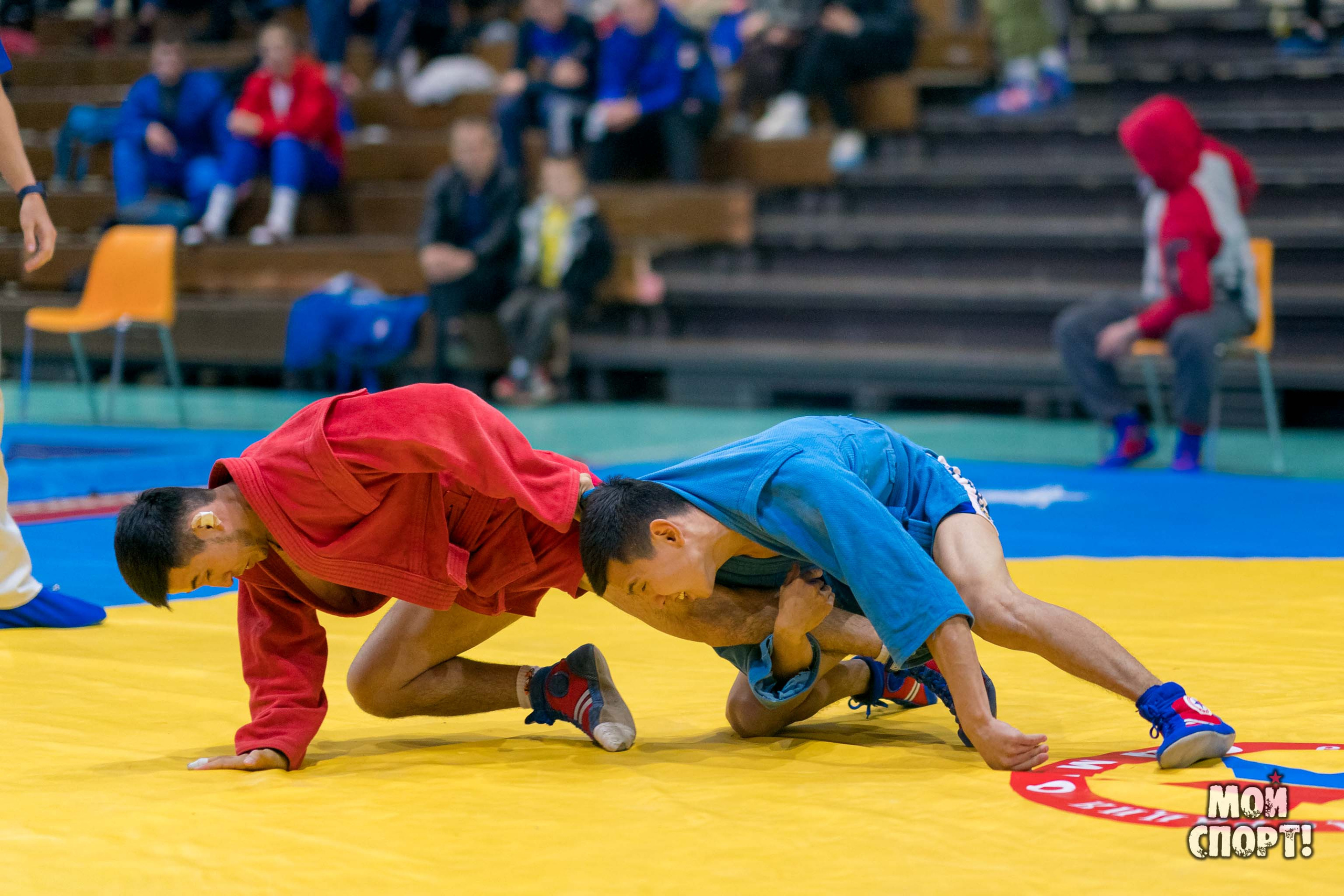 Всероссийские соревнования по самбо «Памяти Героя России А. А. Рыжикова». Студия «Мой Спорт!» — все о спорте в Якутии