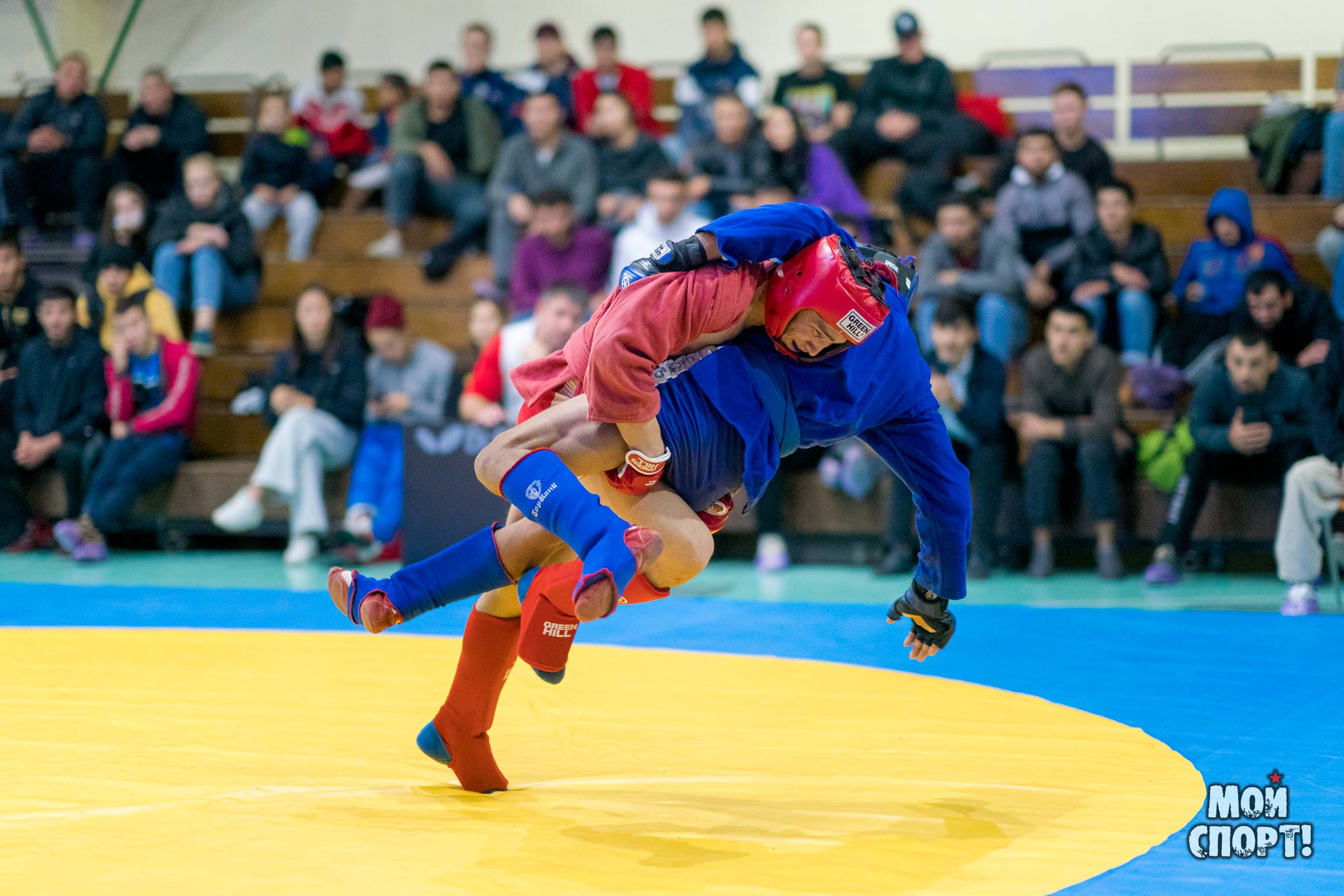 Всероссийские соревнования по самбо «Памяти Героя России А. А. Рыжикова». Студия «Мой Спорт!» — все о спорте в Якутии