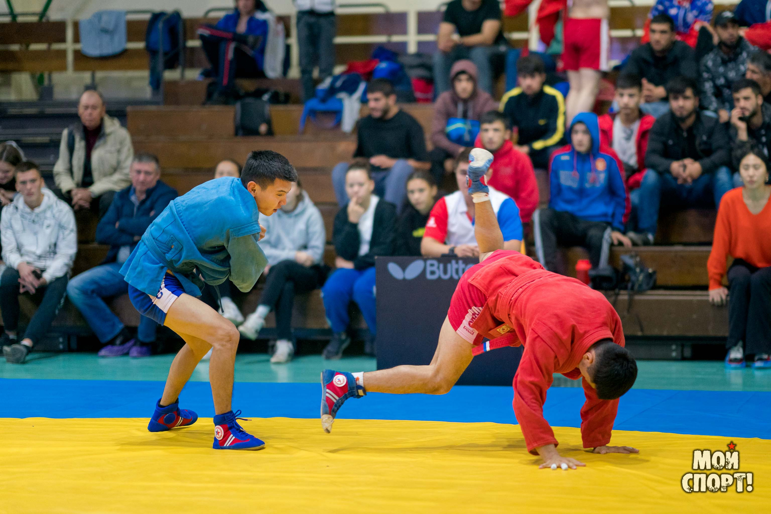 Всероссийские соревнования по самбо «Памяти Героя России А. А. Рыжикова». Студия «Мой Спорт!» — все о спорте в Якутии