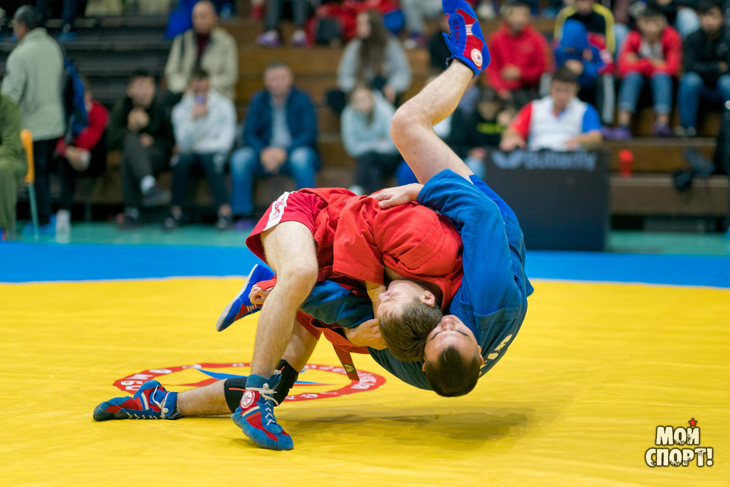 Всероссийские соревнования по самбо «Памяти Героя России А. А. Рыжикова». Студия «Мой Спорт!» — все о спорте в Якутии