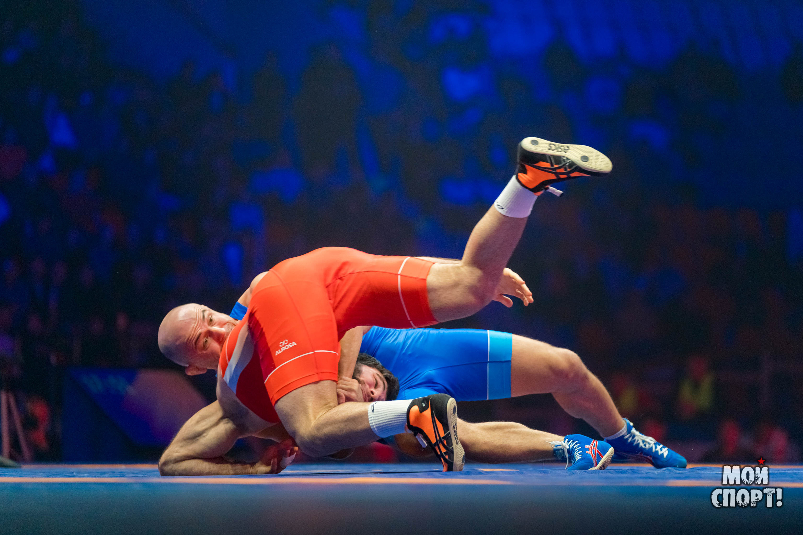 Международный турнир по вольной борьбе памяти Д. П. Коркина. Студия «Мой Спорт!» — все о спорте в Якутии