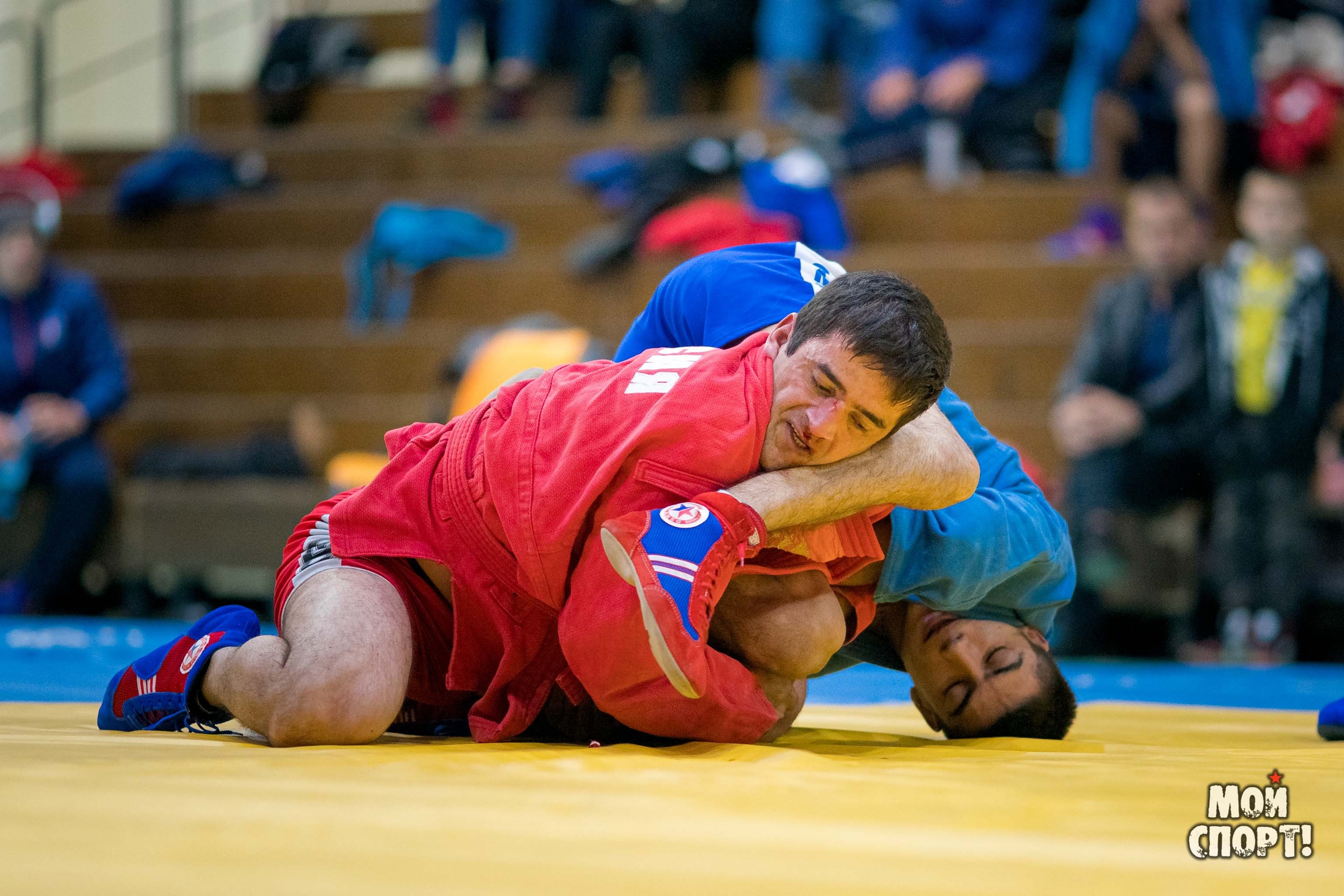 Всероссийские соревнования по самбо «Памяти Героя России А. А. Рыжикова». Студия «Мой Спорт!» — все о спорте в Якутии