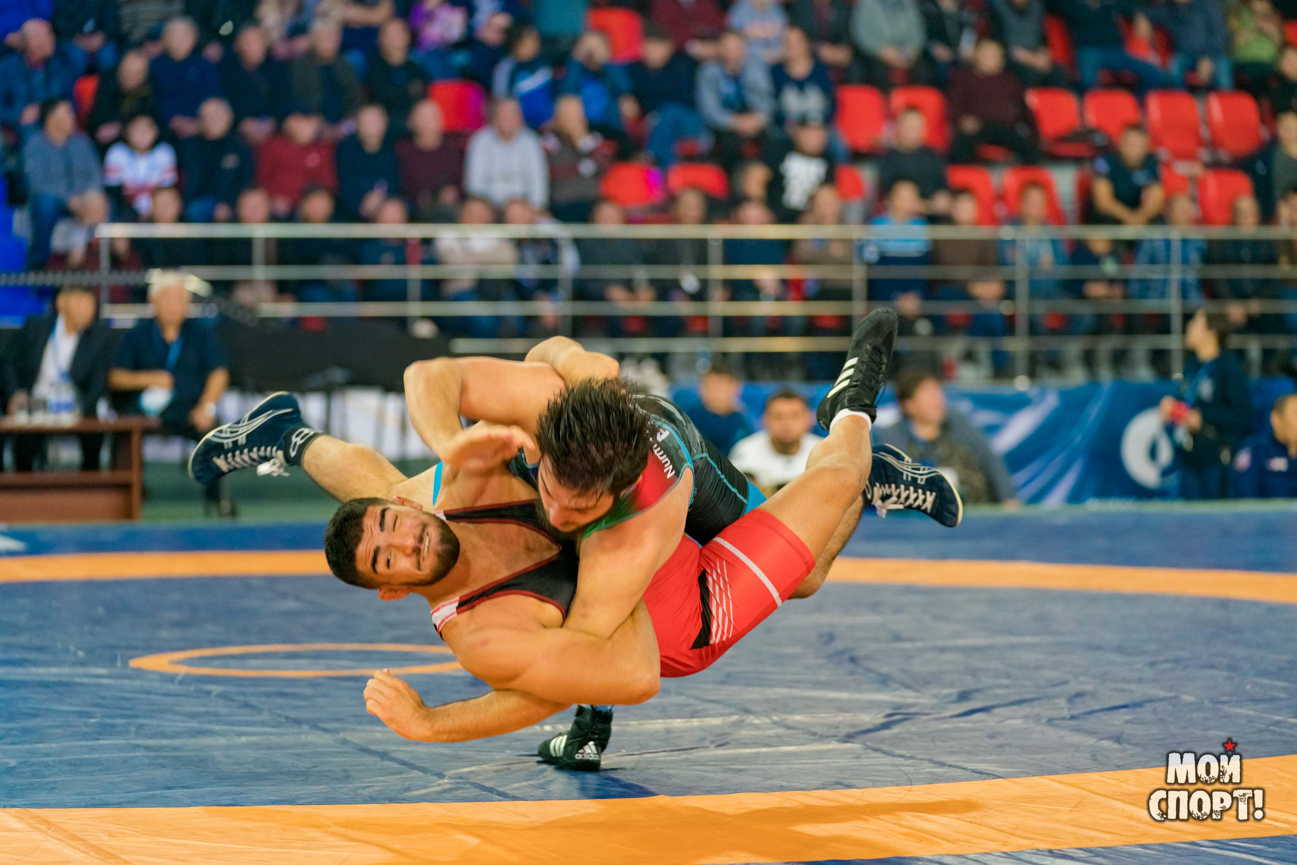 Международный турнир по вольной борьбе памяти Д. П. Коркина. Студия «Мой Спорт!» — все о спорте в Якутии