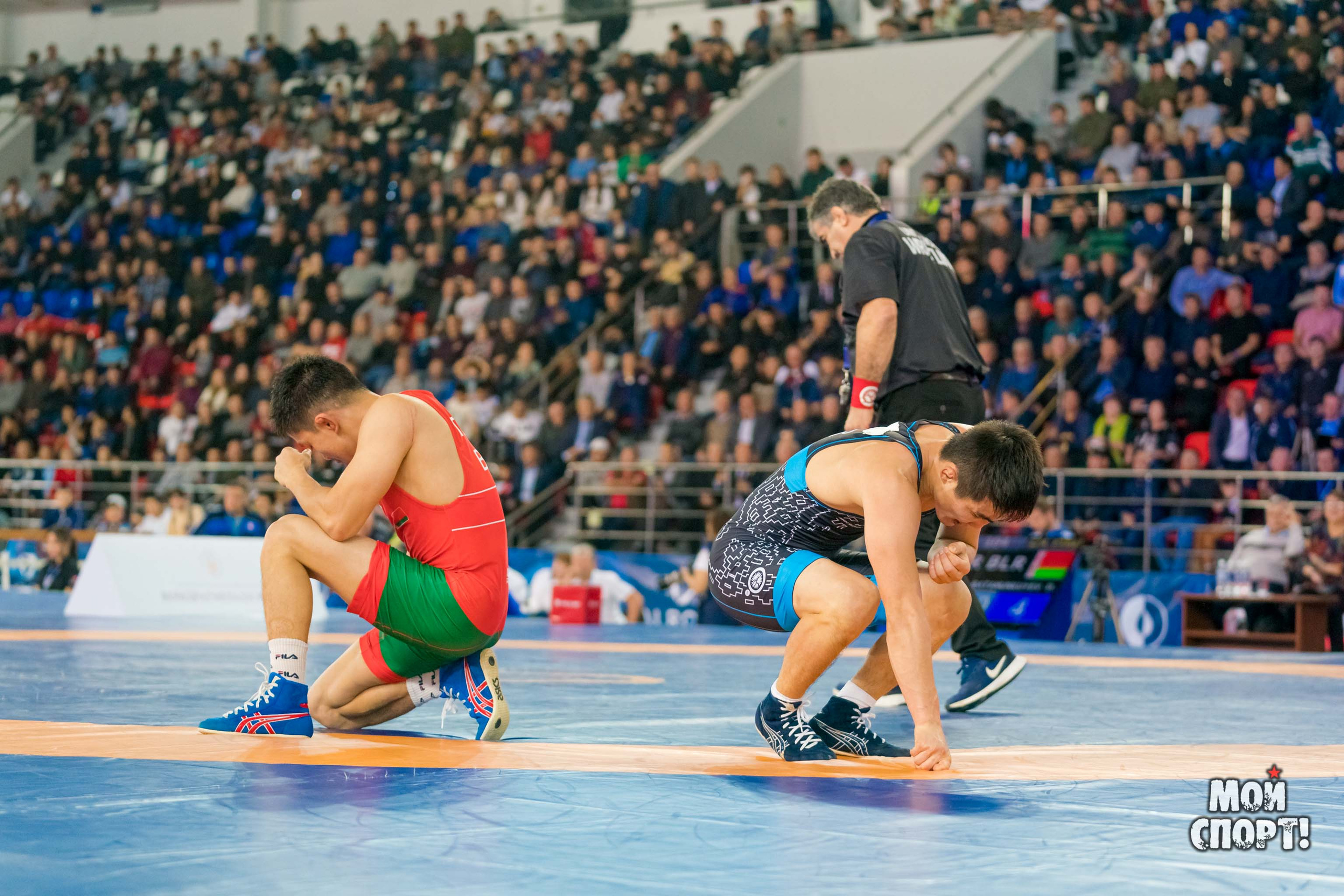 Международный турнир по вольной борьбе памяти Д. П. Коркина. Студия «Мой Спорт!» — все о спорте в Якутии