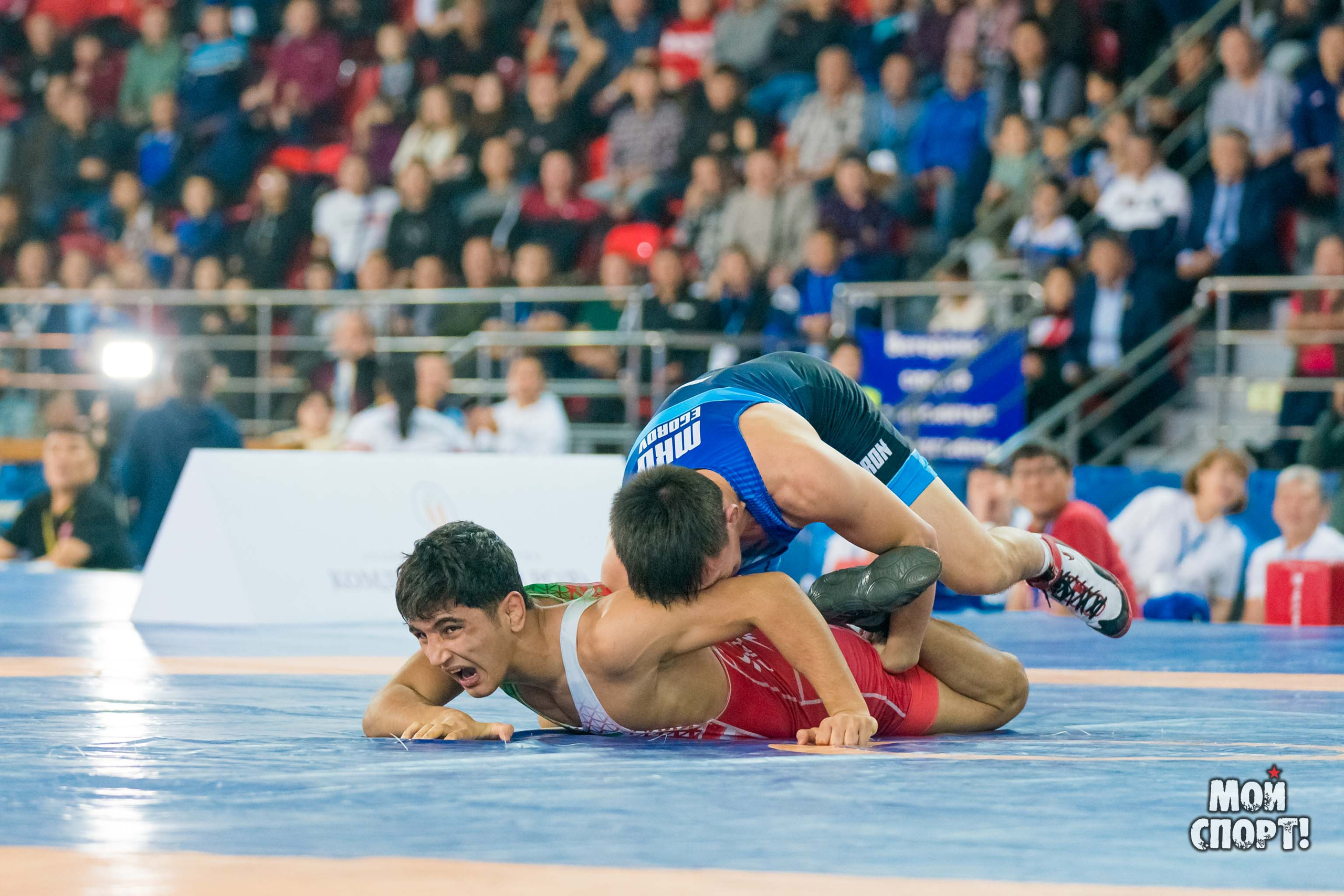 Международный турнир по вольной борьбе памяти Д. П. Коркина. Студия «Мой Спорт!» — все о спорте в Якутии