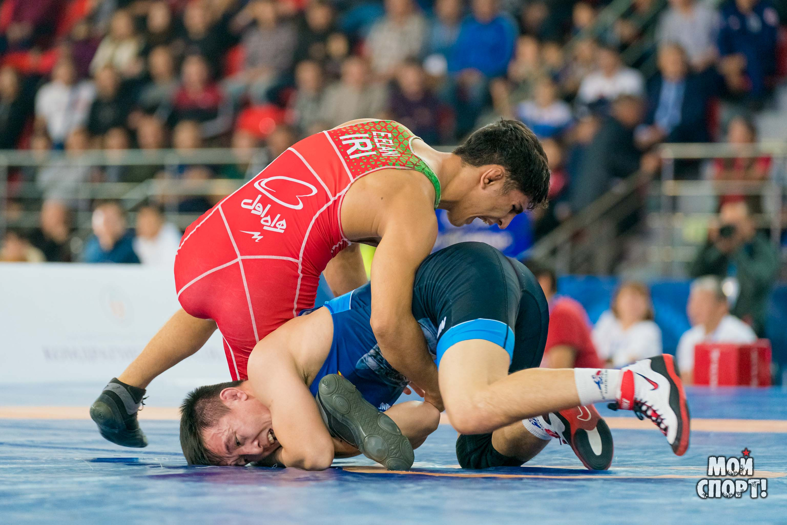 Международный турнир по вольной борьбе памяти Д. П. Коркина. Студия «Мой Спорт!» — все о спорте в Якутии