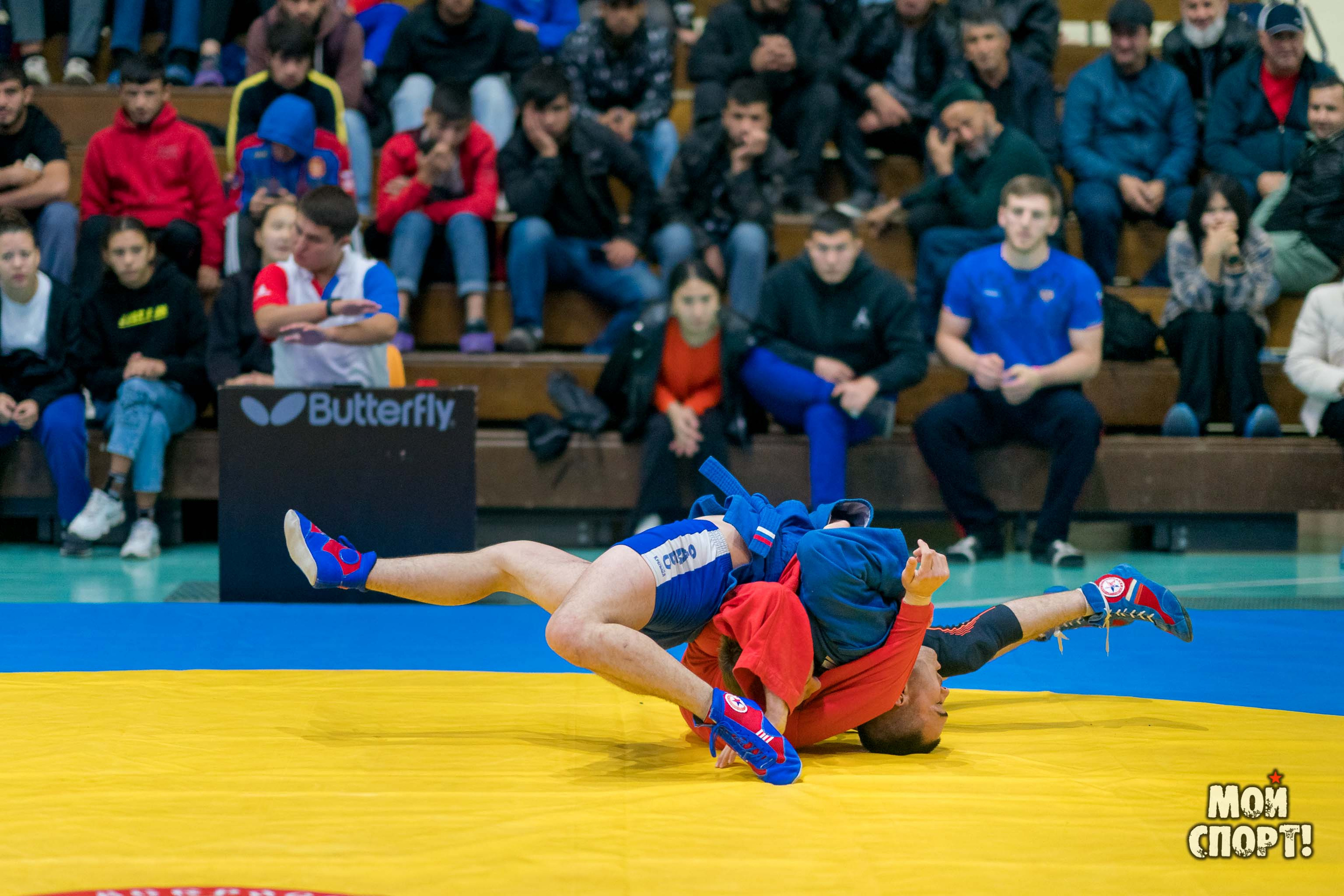 Всероссийские соревнования по самбо «Памяти Героя России А. А. Рыжикова». Студия «Мой Спорт!» — все о спорте в Якутии