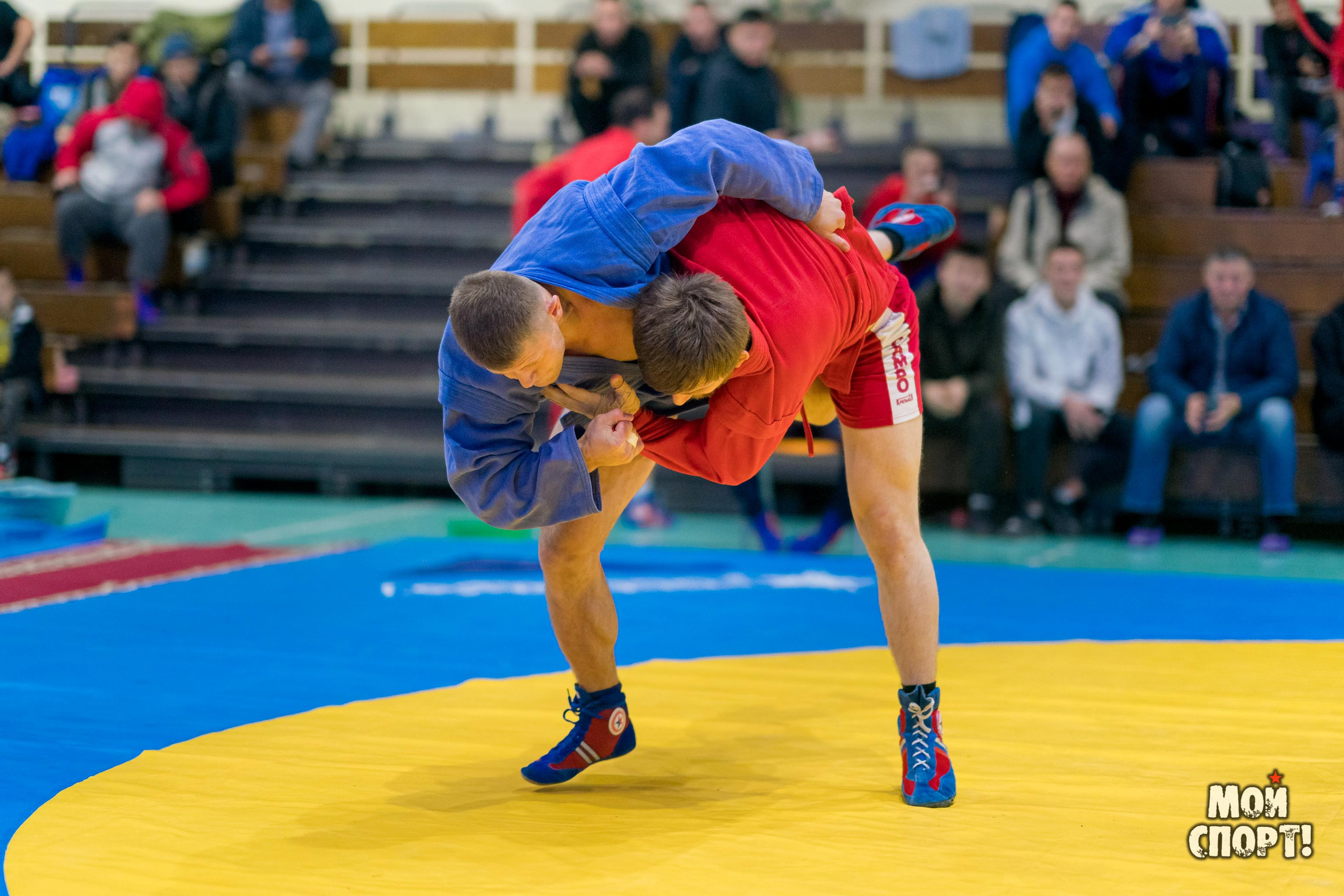 Всероссийские соревнования по самбо «Памяти Героя России А. А. Рыжикова». Студия «Мой Спорт!» — все о спорте в Якутии
