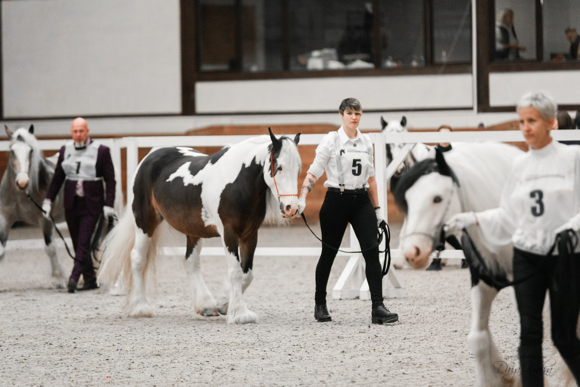 8-я международная выставка Конная Россия. Конный фотограф Куракина Дарья • Фотосессии с лошадьми