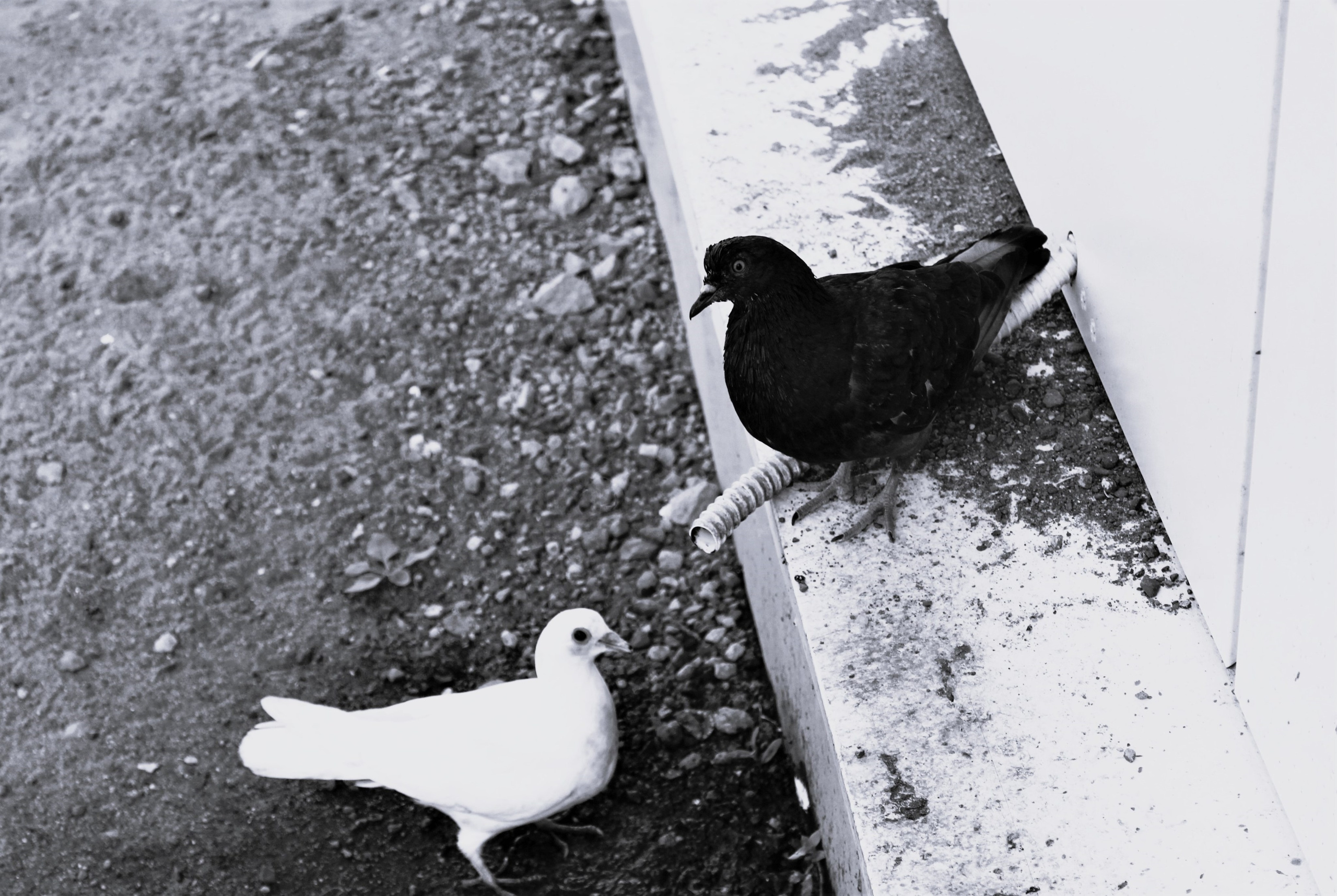 Всё, что я вижу вокруг себя