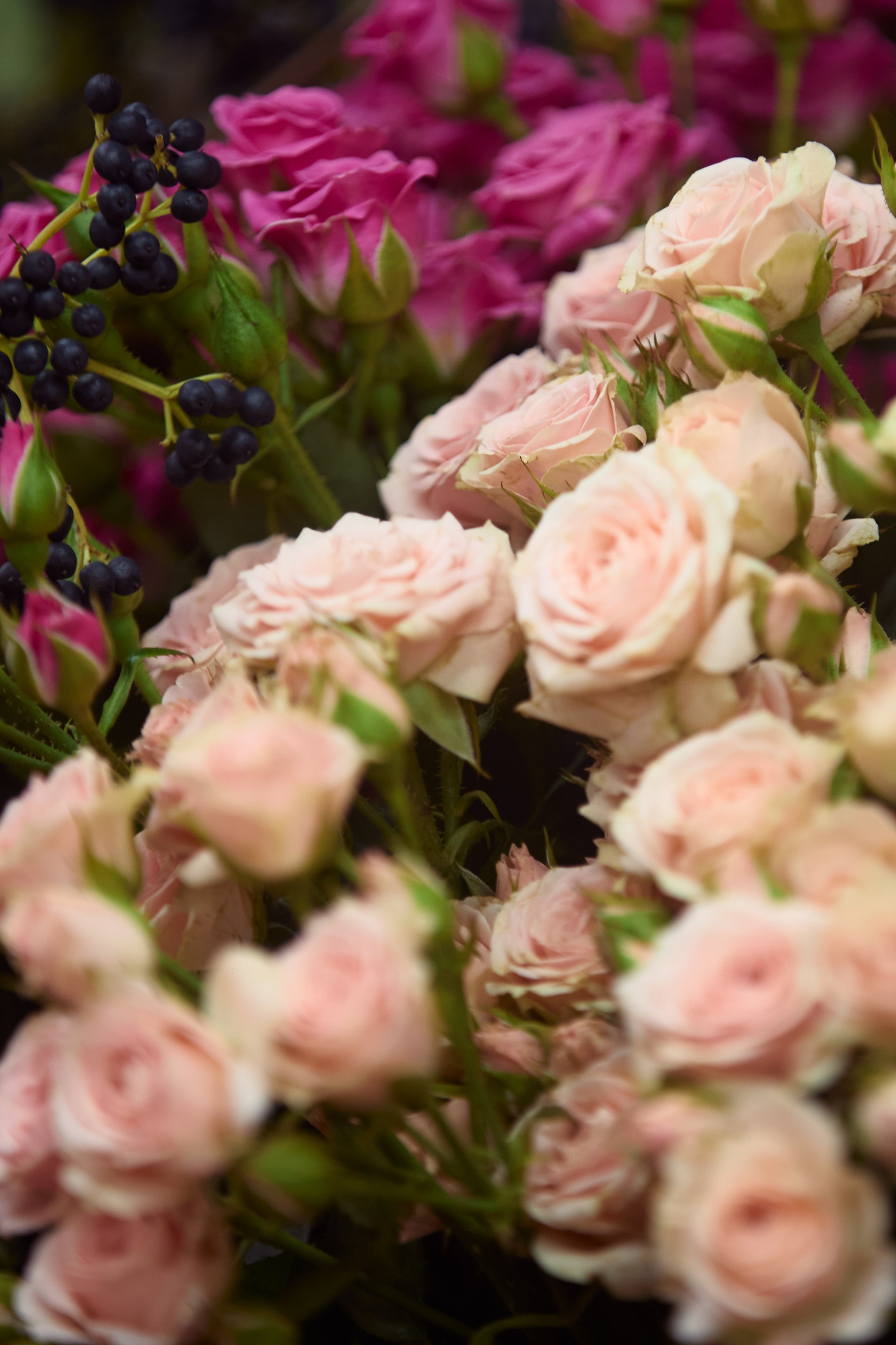 ART-HAOS. Фотограф видеограф в Москве и Московской области Саша Секрет