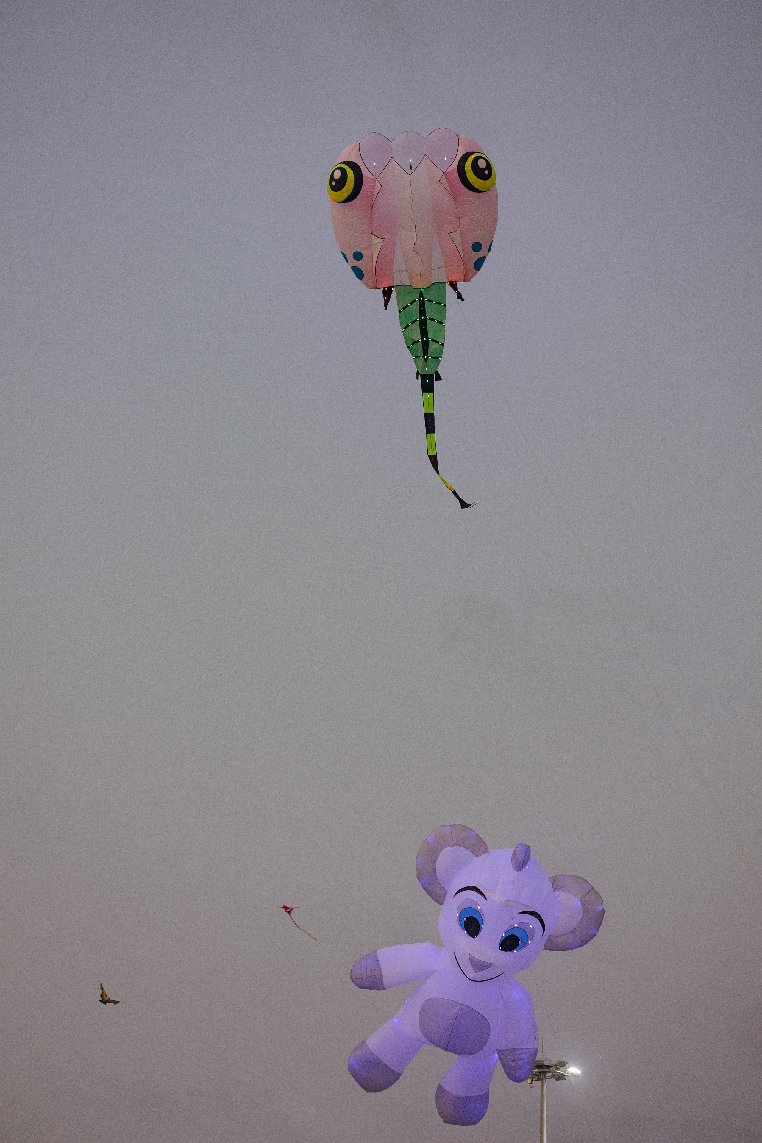 PATTAYA INTERNATIONAL KITE ON THE BEACH 2024. Photographer Sonkina Tatiana (Tanya Ash)