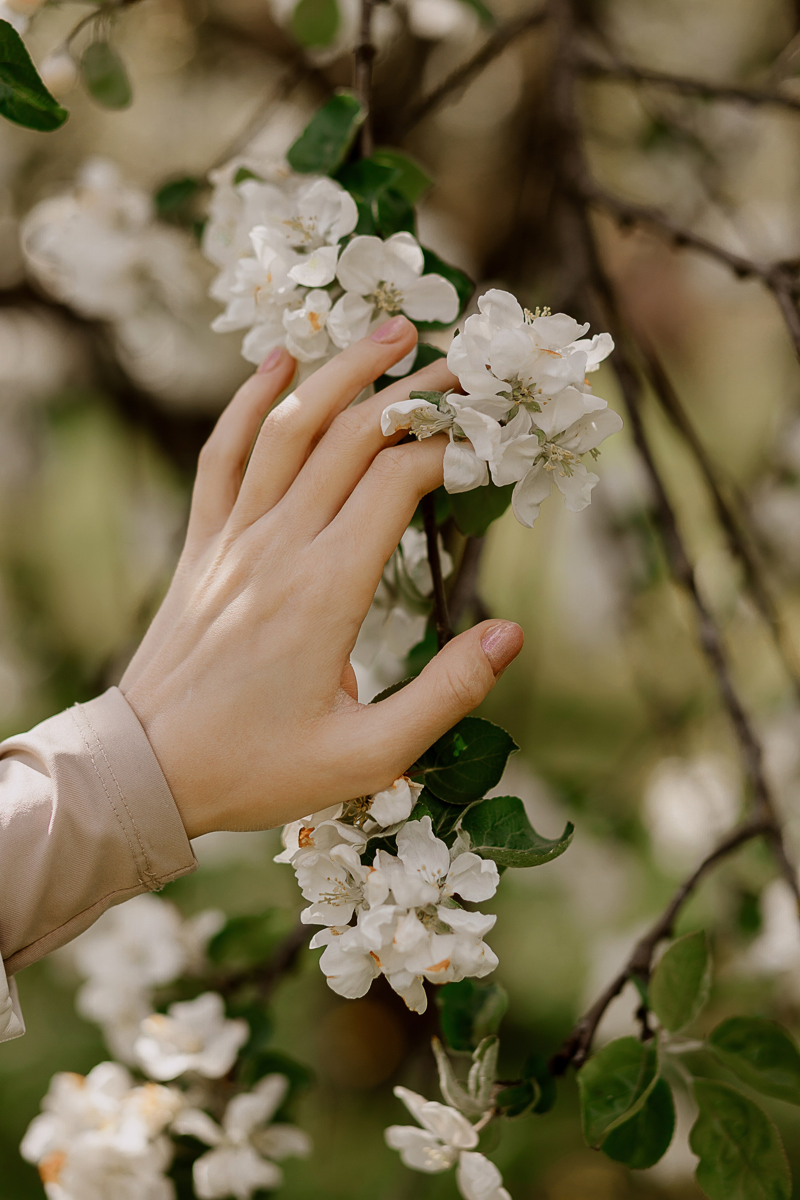 Женская фотосессия в цветущем саду. Семейный и женский фотограф в Москве Надежда Воробьева