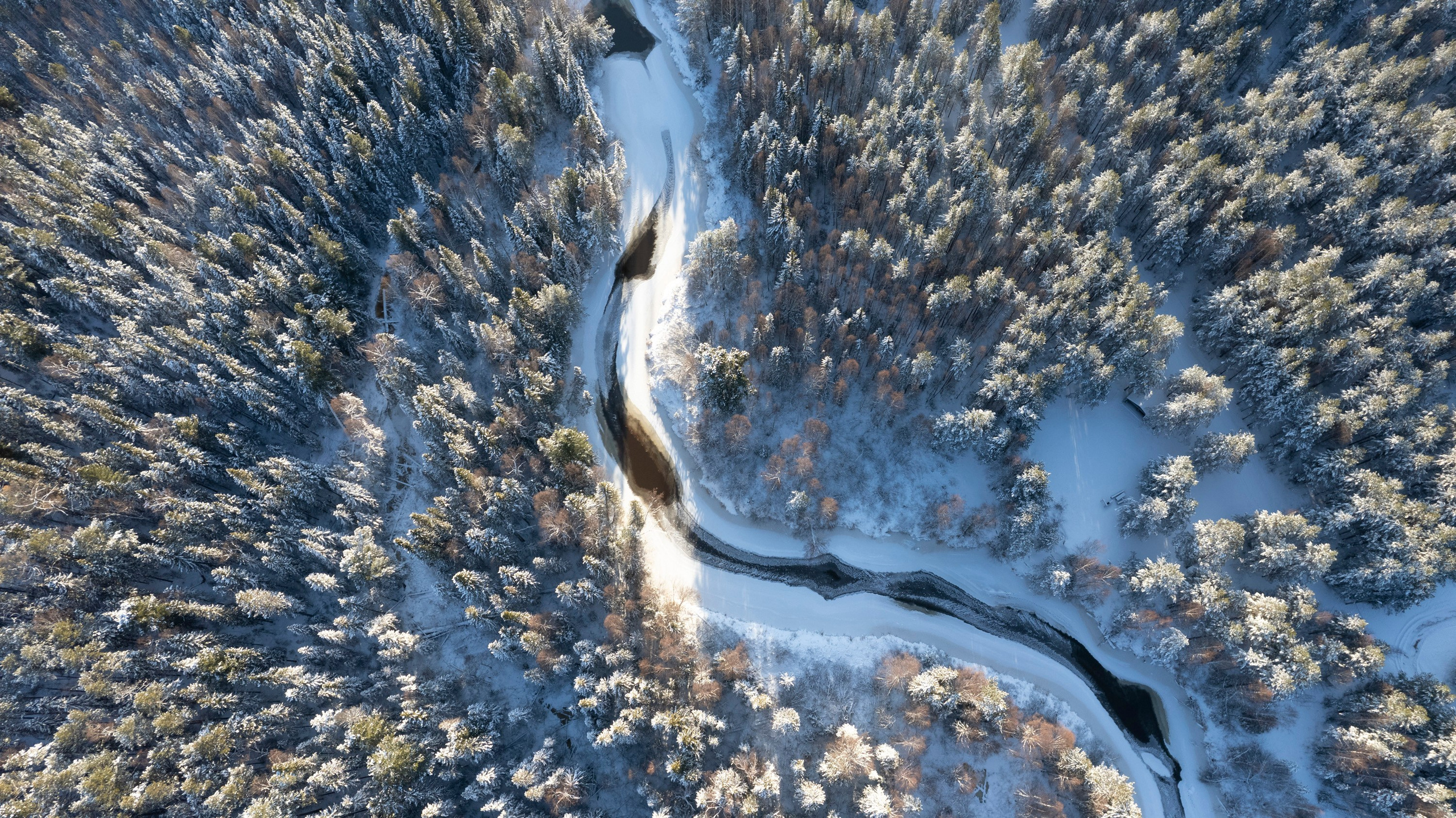 ПРИРОДА С ДРОНА. Фотограф Татьяна Борисова