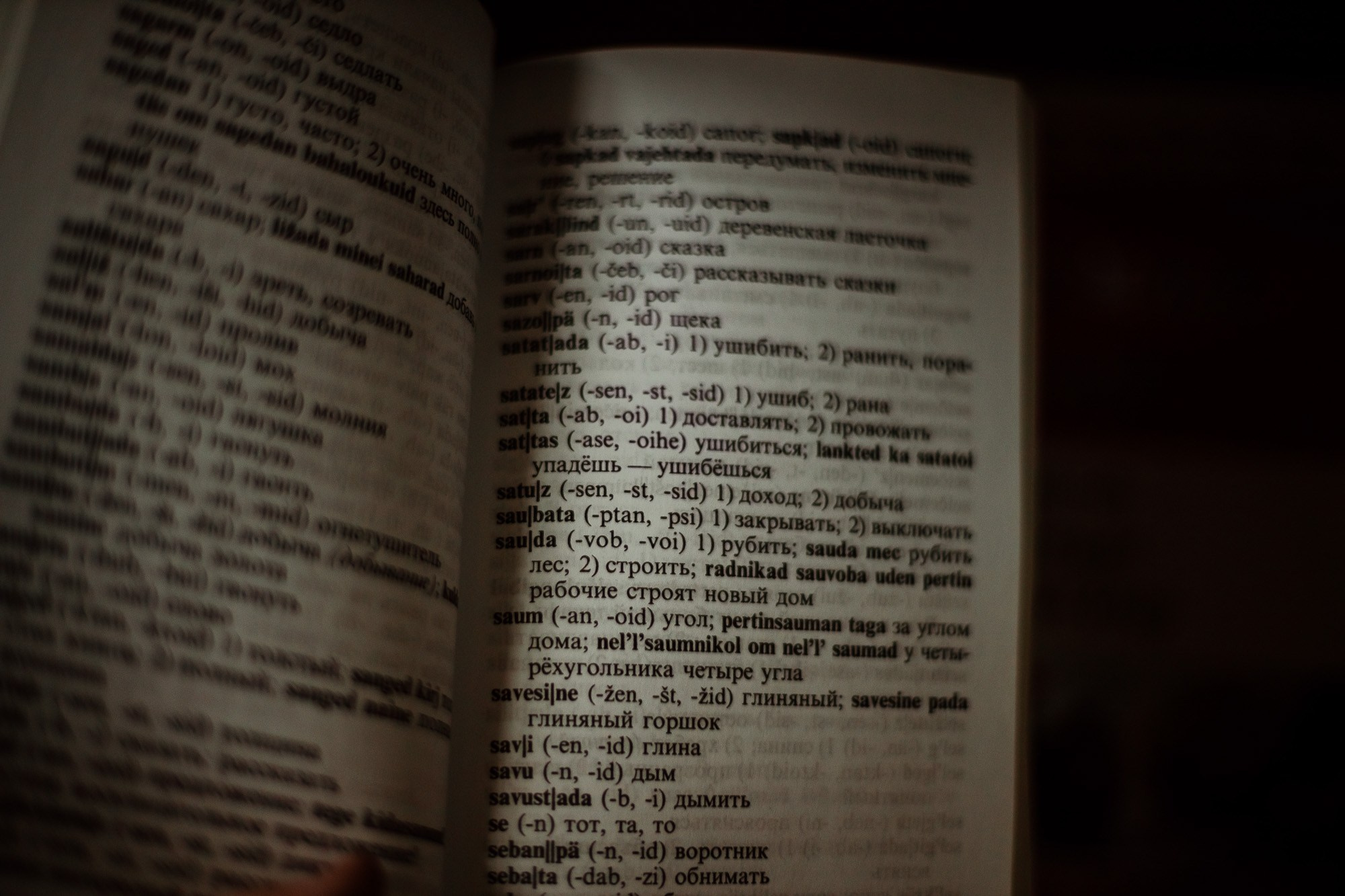 Поездка в вепсские деревни к «Лес и Ветер» 10-12.11.23. Портретный и свадебный фотограф в Санкт-Петербурге Ольга Филиппова