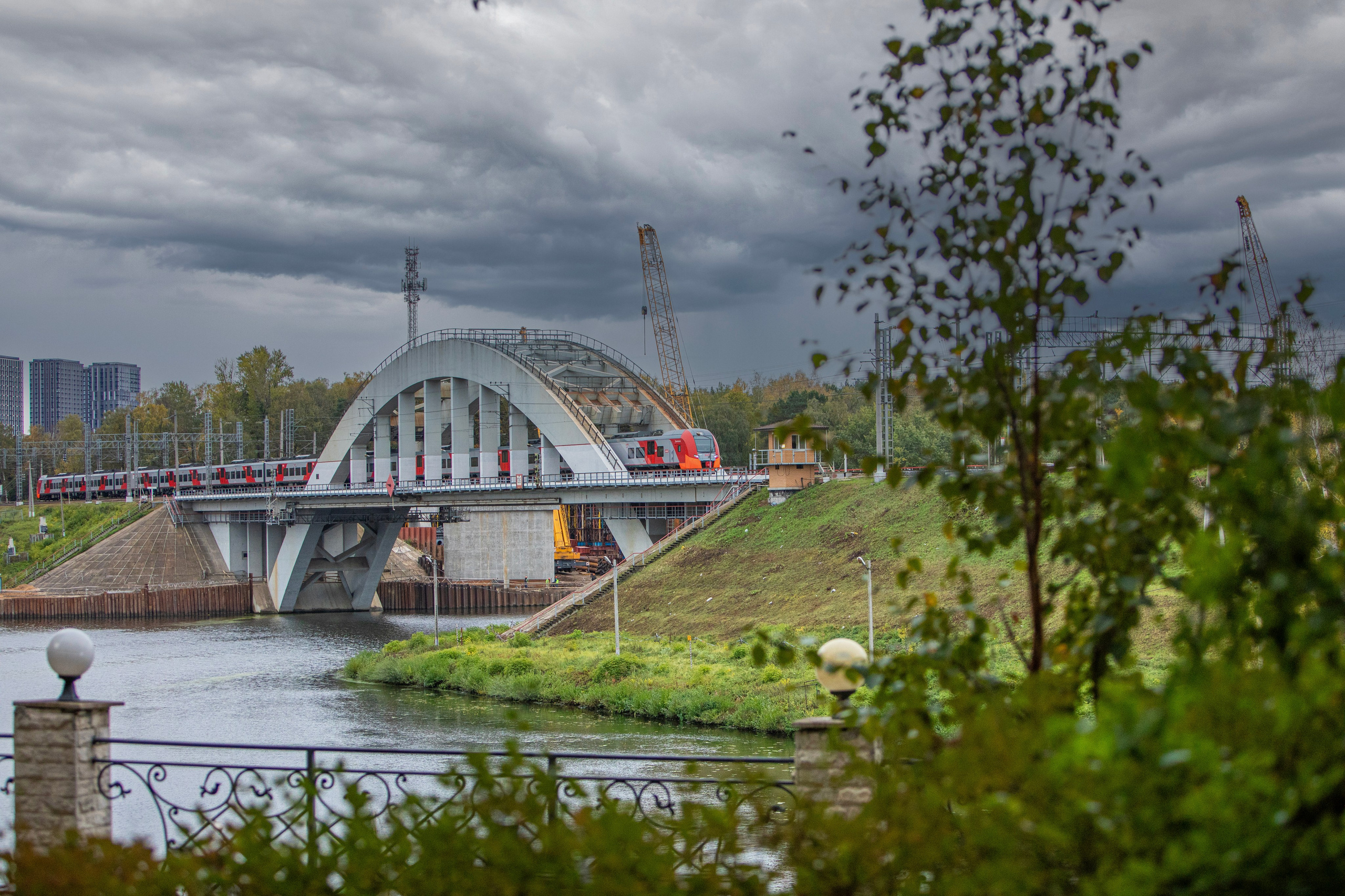 5 вёрст Химки, 7 октября 2024 г. Фотограф Сергей Ловкий